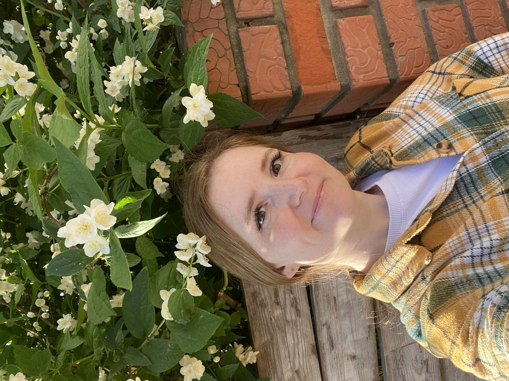 A portrait captures a young woman lying down and looking upwards towards the camera. The image is composed with a significant counter-clockwise rotation, presenting the woman's head in the upper right portion of the frame and her body extending towards the lower left. She has fair skin, light brown hair, and brown eyes, with a gentle, natural smile on her face. Her face is illuminated by bright sunlight, suggesting a clear day.
She is dressed in a yellow, green, and white plaid button-up shirt worn over a white top. The fabric of the plaid shirt is visible across her chest and right shoulder.
The scene is set outdoors, likely in a garden or park in Chaikovsky, Russia. A dense bush with abundant green leaves and numerous small, white, five-petaled flowers, possibly jasmine, occupies the entire left side of the frame. Many of the flowers are in full bloom and some are catching the sunlight.
Beneath the woman, a weathered wooden surface, resembling a bench or decking, runs horizontally across the bottom and right side of the image. Behind this wooden surface and above the woman's head, a red brick wall with a distinct texture is visible. The sunny conditions and the woman's pleasant expression convey a serene and happy mood. There is no visible text in the image.