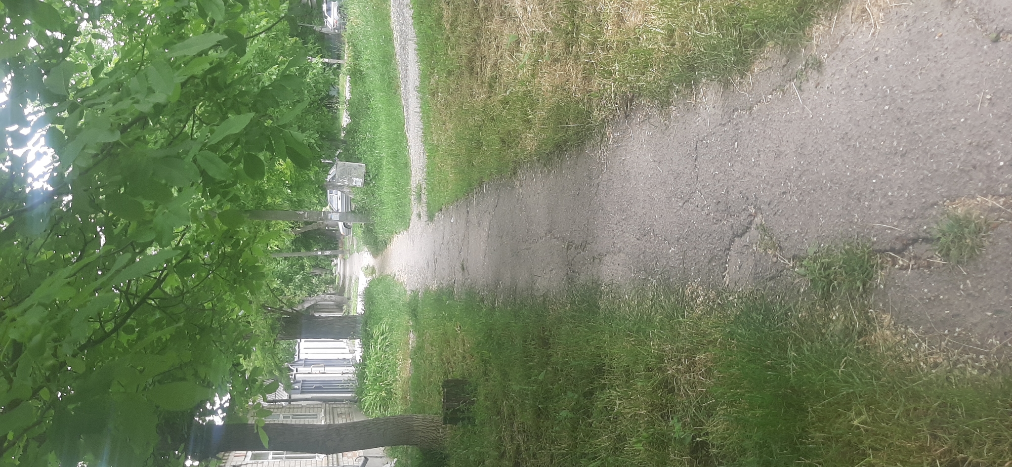 The image depicts a paved pathway bordered by grass and trees. The pathway is in the foreground and extends into the distance. The grass on either side is unevenly cut and appears somewhat dry in places, with greener patches. Trees with dense green foliage overhang the pathway, creating shade. Buildings are visible on the left side of the pathway, characterized by brickwork and windows. On the right side, a metal post with a sign or bulletin board is present, and further down the path, a parked car is visible. The sky is bright, suggesting daytime. The scene appears to be a residential street or park area in Yessentukskaya, Russia.