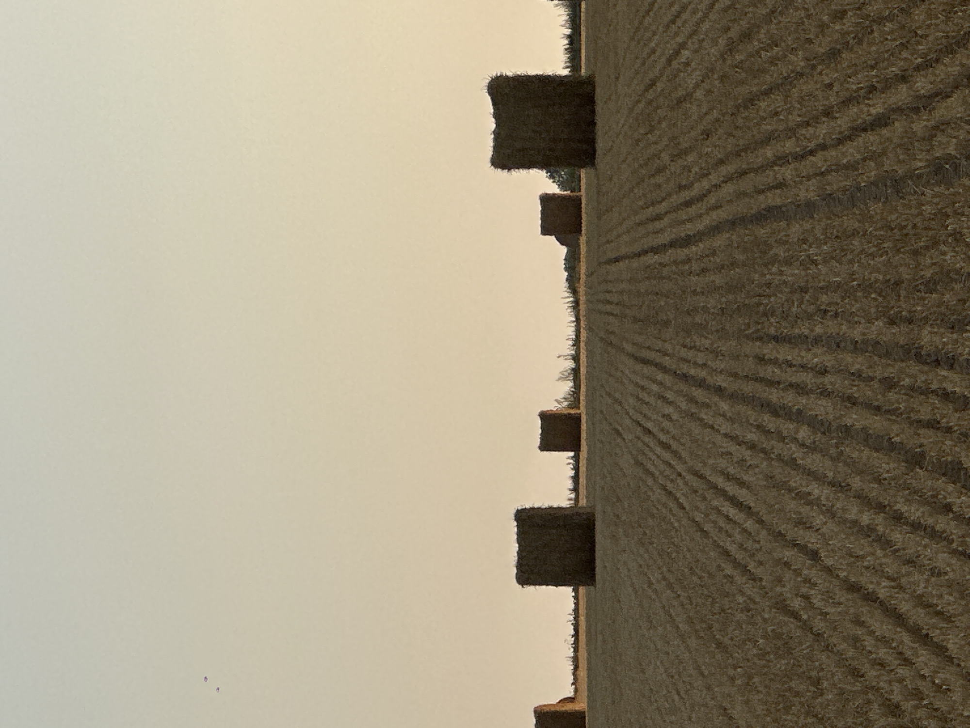 This is a photograph of a rural scene in Trouville-Alliquerville, France, featuring a harvested field with several rectangular hay bales. The field is the dominant element in the foreground, exhibiting the texture of stubble from the harvested crop, with visible rows or furrows indicating the direction of harvesting. In the middle ground, scattered across the field, are approximately five hay bales, appearing dark brown and cubic in shape. The bales are positioned at varying distances from the viewer.
The background is a wide expanse of pale sky, transitioning from a lighter hue at the top to a warmer, more yellowish tone near the horizon. There are a few small, dark, indistinct shapes in the upper left portion of the sky, which could be birds or distant objects. The overall lighting suggests either dawn or dusk, with a soft, diffused light casting gentle shadows. No people or animals are visible, and the scene is static and peaceful, typical of a agricultural landscape.