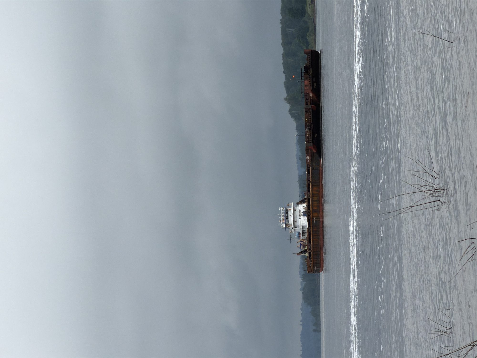 The image depicts a barge being pushed along a river or wide body of water, likely in the vicinity of Ольховка, Russia, based on the query. The barge is comprised of a tugboat at the front connected to a series of flat barges. The tugboat is white with prominent lettering or numbers on its side. The barges are a darker rusty brown. The water is grey, and on the right side there are some water plants in the foreground and a reflection on the water. On the left of the body of water is what appears to be a wooded bank, which disappears into the sky. The sky is a uniform grey, indicating an overcast day.