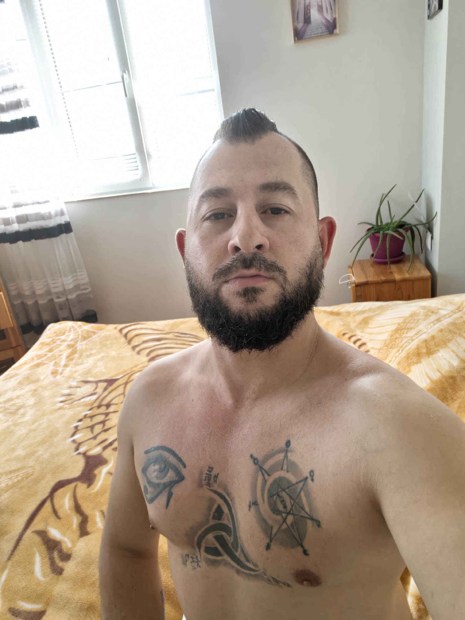 A shirtless man with a beard and a mohawk-style haircut is depicted in a selfie, looking directly at the camera with a neutral expression. His chest is adorned with several tattoos: on his left pectoral, there's a prominent Eye of Horus design with additional symbols below it, including a Celtic knot-like pattern. On his right pectoral, a star-like or compass-like design is visible within a circular shape.
The scene appears to be an indoor setting, likely a bedroom, bathed in bright daylight streaming through a large window on the left side of the frame. The window features white Venetian blinds and light-colored, striped sheer curtains. A bed is partially visible behind the man, covered by a warm-toned, possibly orange or yellow, blanket with a pattern of abstract, possibly animalistic or tribal, shapes in darker tones.
To the man's right, a small wooden nightstand holds a green, spiky-leaved plant in a purple pot. Above the nightstand, a small framed picture hangs on the light-colored wall, depicting what looks like a pathway or architectural element. Another smaller framed picture is partially visible further to the right. No discernible text is visible on the tattoos or other elements in the image.