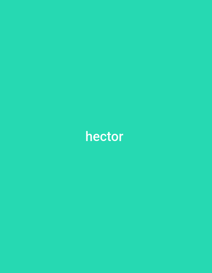 The image is a plain, solid turquoise background with the word "hector" written in white, sans-serif text in the center. There is no information in the image to place it in Tabari Jauro Manu, Nigeria.