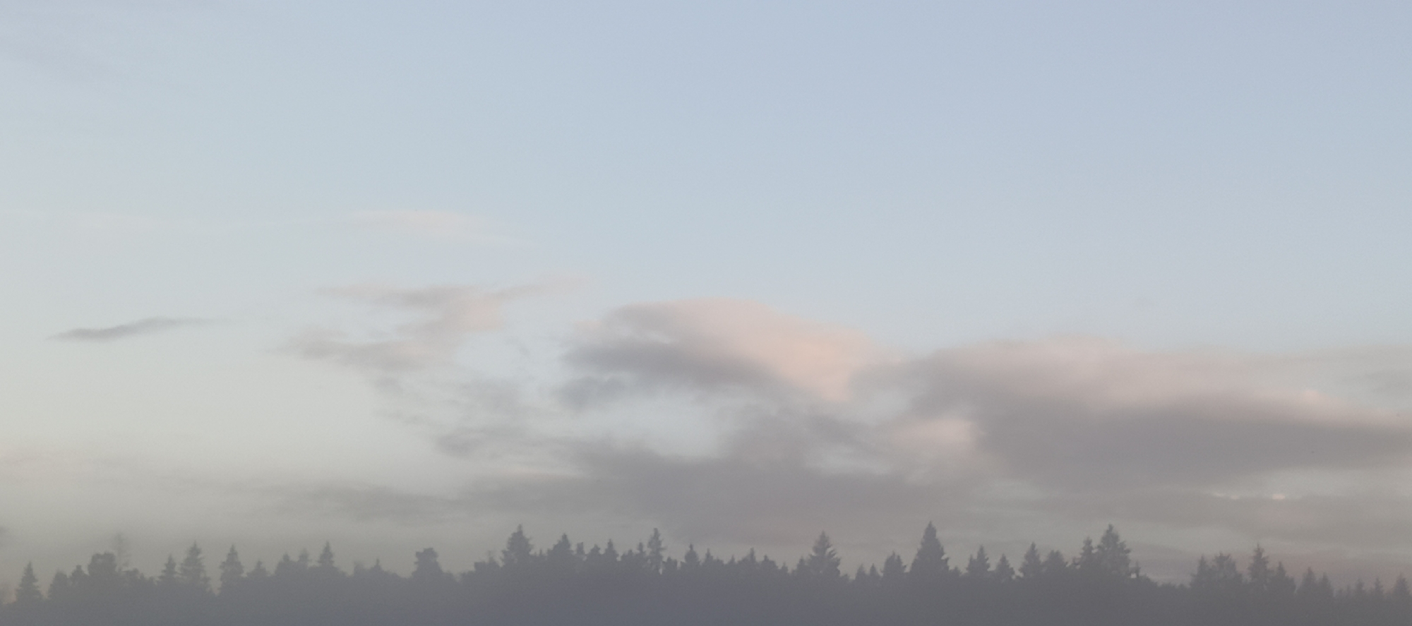 The image depicts a serene, hazy landscape with a silhouetted forest line against a pale blue sky. Wispy clouds, tinged with pink, are scattered across the upper half of the frame. The overall impression is one of tranquility and natural beauty, possibly captured during dawn or dusk. The scene is devoid of any human presence or activity, focusing solely on the environmental elements of sky, clouds, and trees. The location is identified as Merchalovo, Russia.