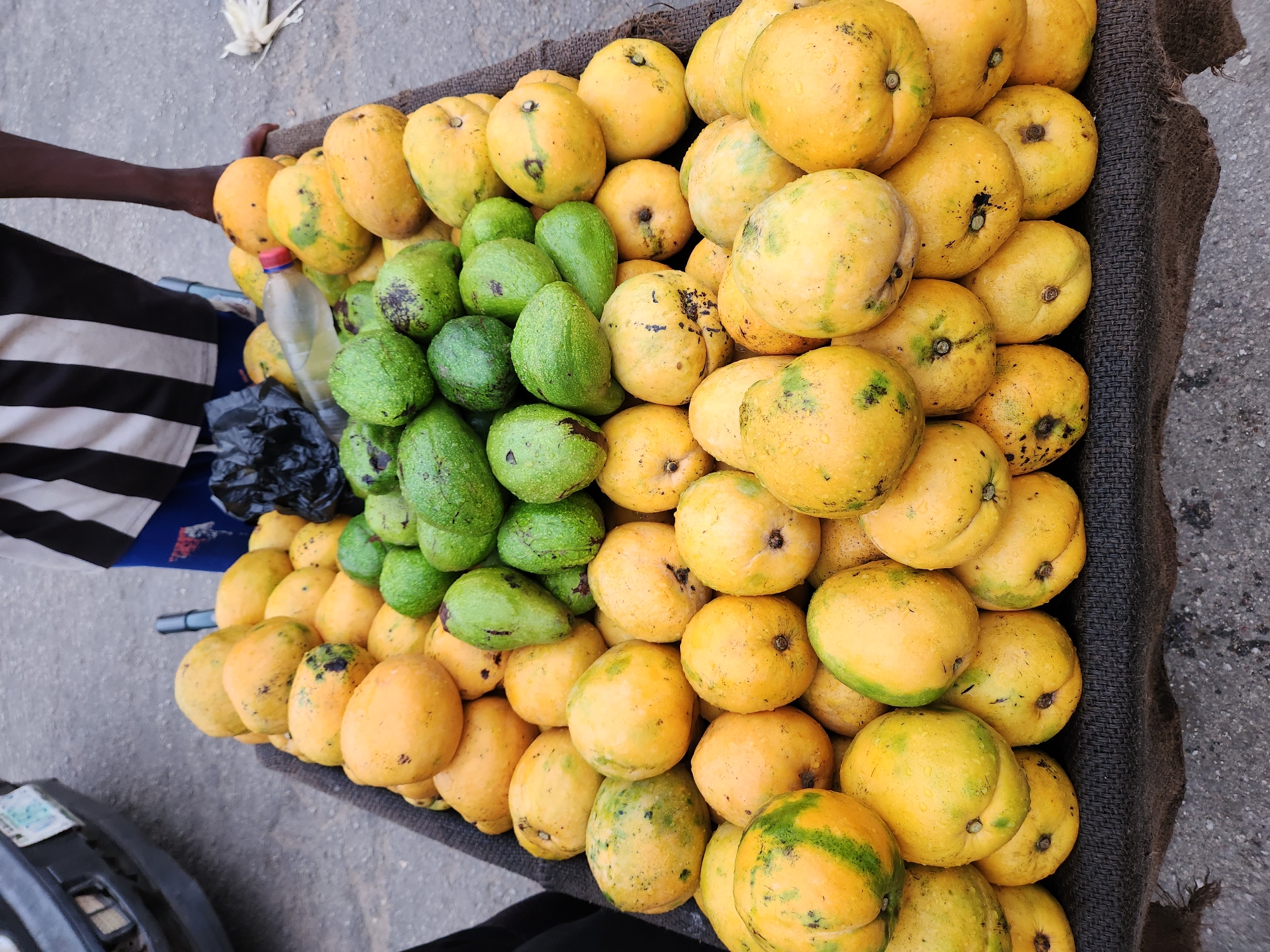 The image shows a vendor's cart laden with fresh produce, specifically a mix of ripe yellow mangoes and green avocados. The mangoes are mostly yellow with some green patches, indicating varying degrees of ripeness. The avocados are green, some with water droplets, possibly from a recent wash. The produce is neatly piled within the cart's confines, lined with what appears to be a dark burlap fabric. A bottle of water and a black plastic bag are also on the cart. A person's arm, with dark skin and wearing a striped shirt, is visible at the edge of the frame, suggesting they are likely the vendor. The overall setting suggests a roadside or street market, likely in Jos, Nigeria.