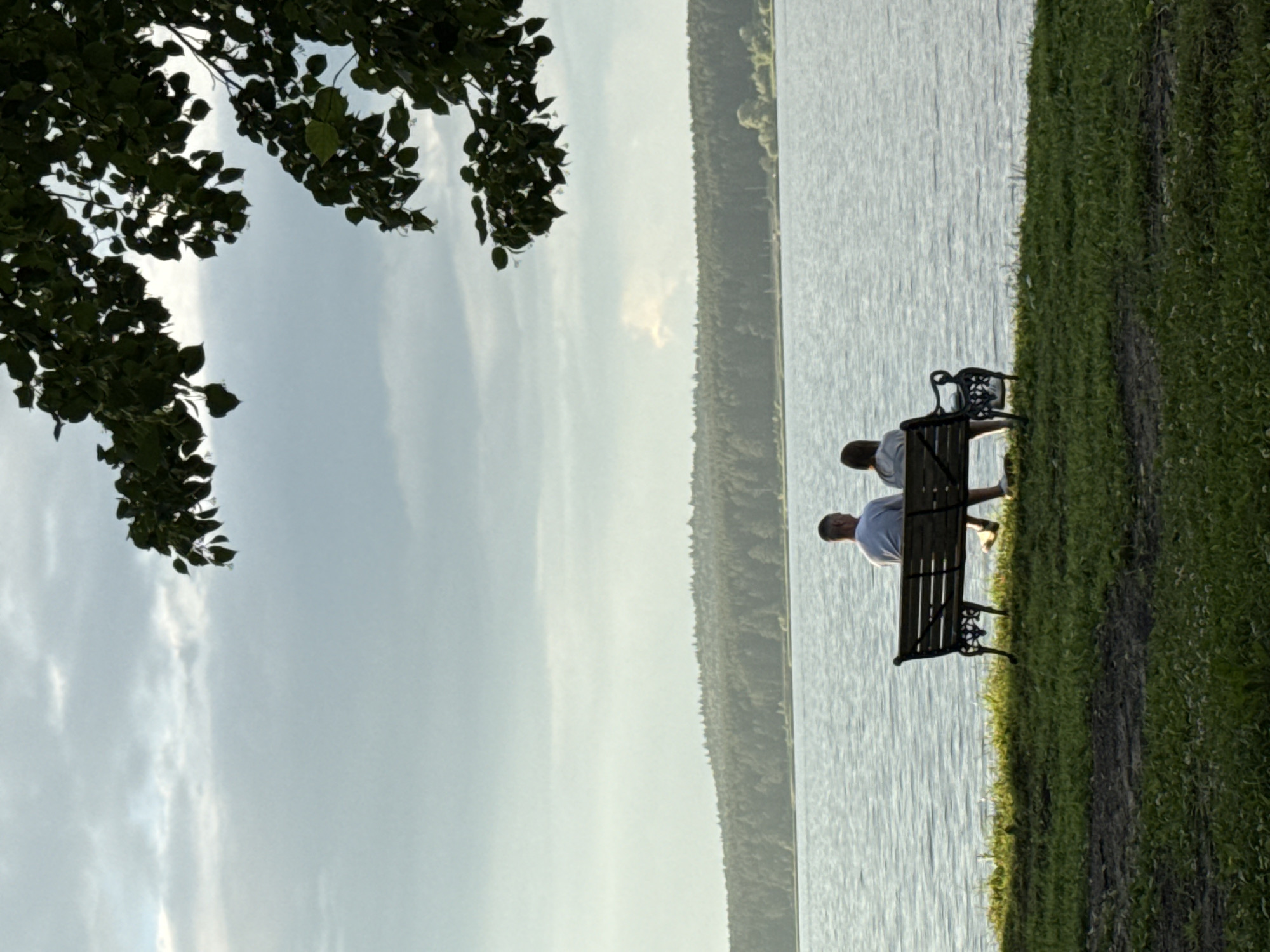 In Votkinsk, Russia, two individuals are seated on a dark-colored park bench overlooking a calm body of water. The bench is positioned on a grassy slope that gently inclines towards the water's edge. Behind the water, a dense forest covers a rolling landscape. The sky above is overcast with scattered clouds, and the upper right portion of the image is partially obscured by the dark silhouette of tree branches and leaves. The individuals, seen from behind, appear to be facing the water, with the person on the left wearing a light-colored shirt and the person on the right wearing a grey top. The scene is captured during daylight hours, likely in the late afternoon or early evening, judging by the soft, diffused light.