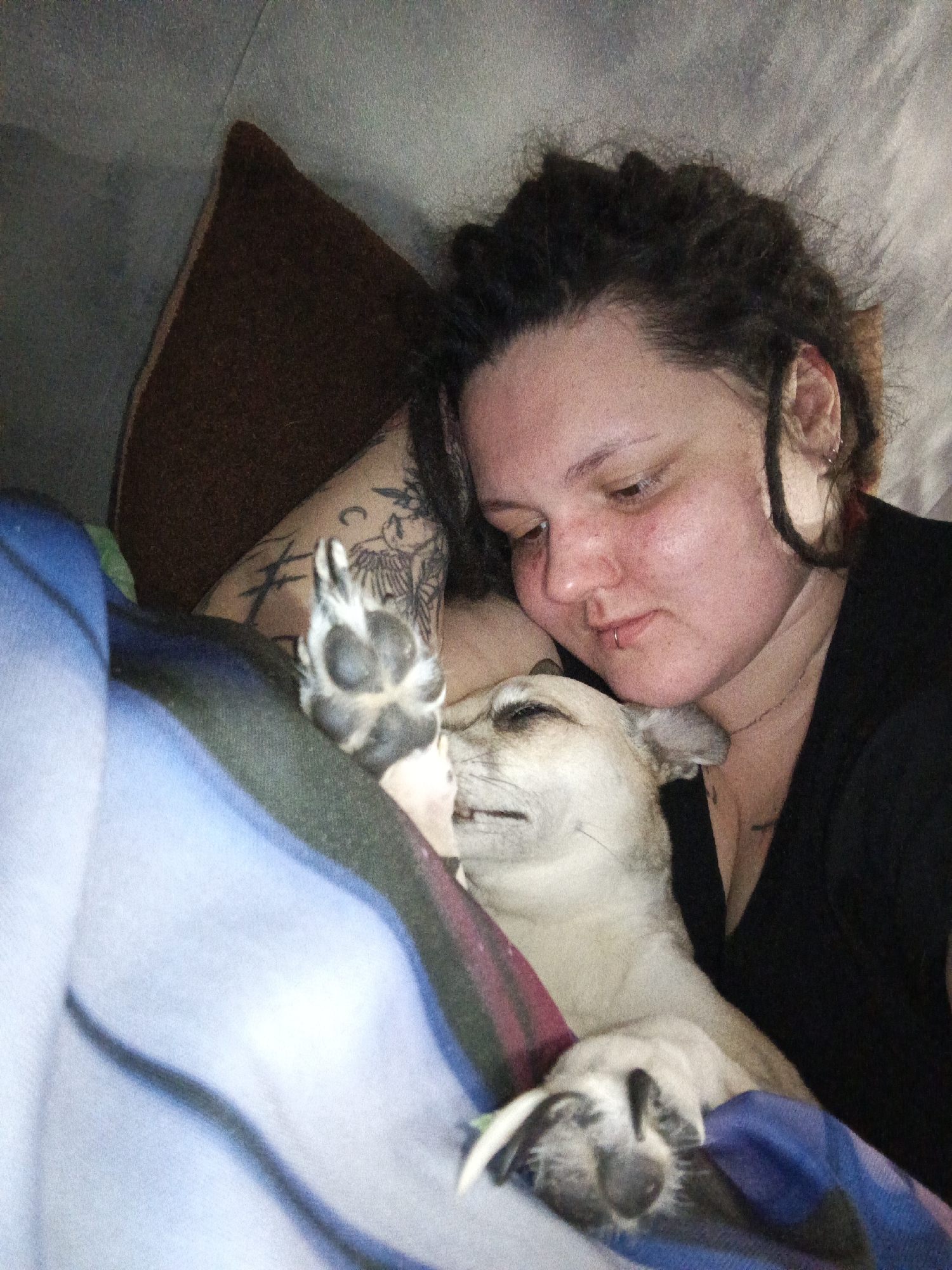 The image depicts an indoor scene in the city of Chaikovsky, Russia. The specific location within the city is not visually identifiable from the image. The primary subjects are an adult female and a small, light-furred canine, both appearing to be at rest on what appears to be a bed or sofa.
The female individual is positioned on her left side, her head resting on a dark brown pillow. She has dark, textured hair, possibly dreadlocks, and displays a silver labret piercing on her lower lip and multiple small silver rings/hoops in her right ear. Tattoos are visible on her right arm/shoulder area, including what appears to be an avian design with spread wings, a crescent moon symbol, and branching patterns. Her eyes are partially closed. She is wearing a dark-colored garment, likely a black top.
The canine, a small-breed dog with short, light tan fur, is lying in close proximity to the female, with its head resting near her neck and chest area. Its eyes are also closed or mostly closed. One of its front paws, showing distinct paw pads and claws, is extended upwards and is partially visible over a multi-colored blanket. A second paw is visible lower down, resting on the blanket.
Both subjects are partially covered by a multi-striped blanket or quilt, which features shades of blue, dark blue, and a lighter blue or white. The background behind the pillow appears to be a light-colored, textured wall or upholstery. The overall scene suggests a moment of shared rest or sleep within a domestic setting.