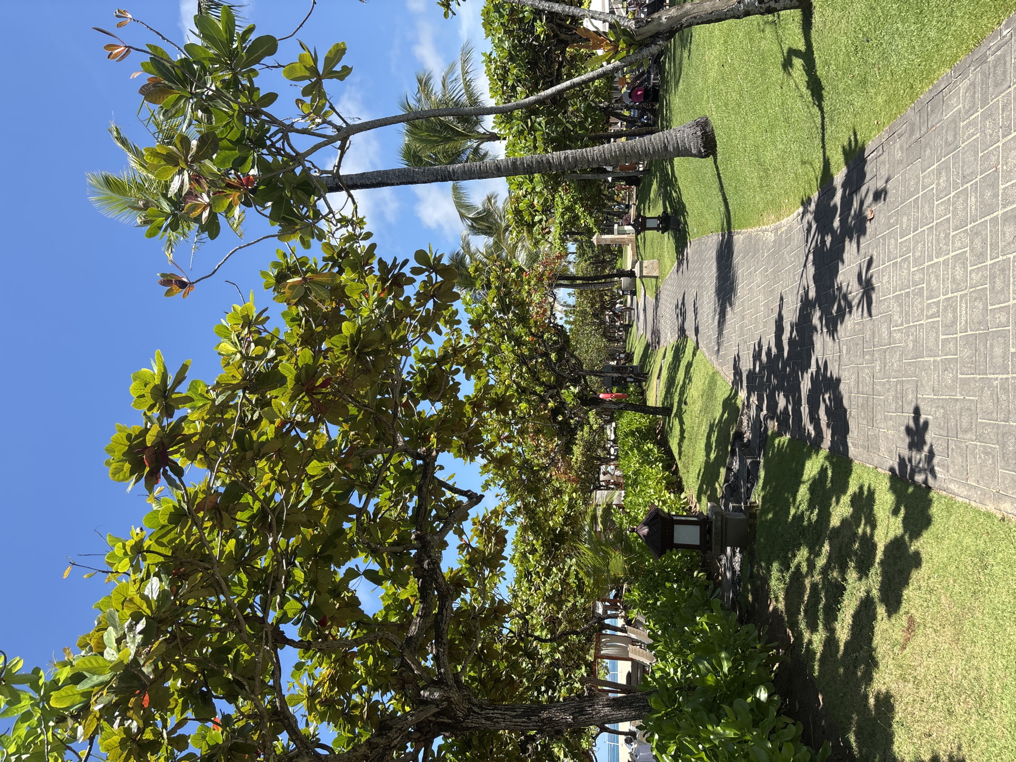 The image depicts a park scene in Nusa Dua, Indonesia, on a sunny day. A brick pathway cuts through a well-maintained green lawn, lined with tropical trees and shrubbery. Shadows of the trees are cast across the pathway. There are several palm trees visible amongst other tree varieties. In the background, glimpses of buildings and other people suggest the park is in a populated area. Lanterns are positioned at the edge of the pathway.