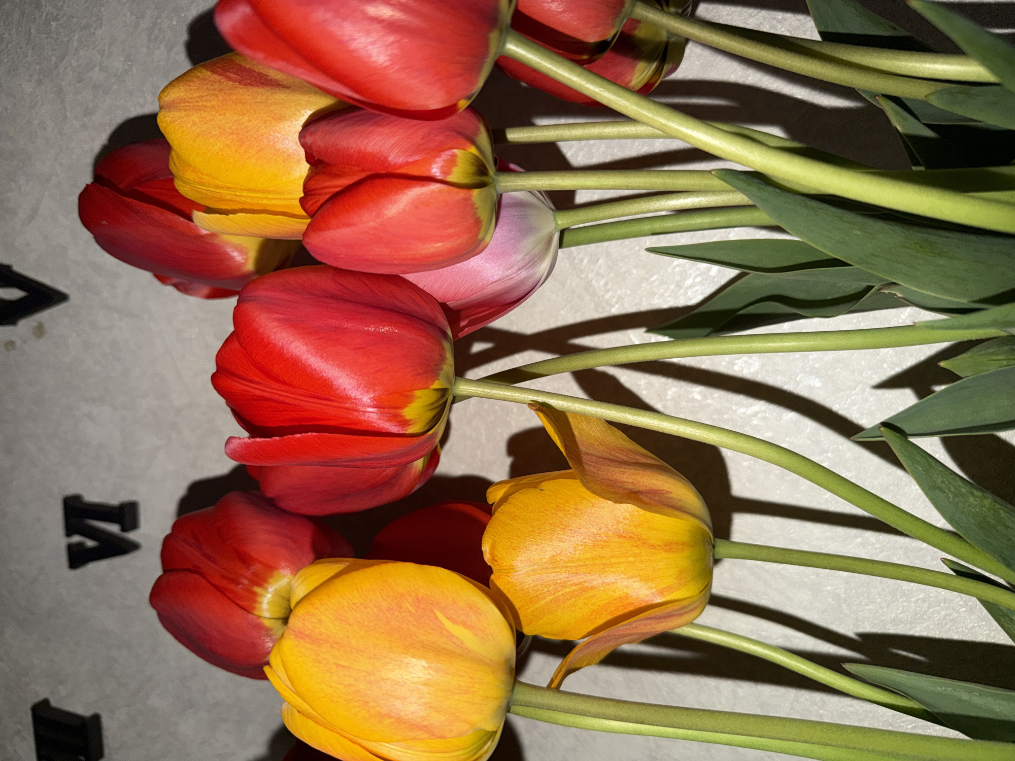 The image shows a cluster of tulips in red and yellow hues, their stems and leaves extending to the right side. The flowers rest on a surface with what appears to be blurred lettering or characters, possibly from a clock face. The scene is lit with a direct light source, casting shadows of the flowers and stems onto the surface. There is no indication of the city of Staraya, Russia in the image. No people are visible.