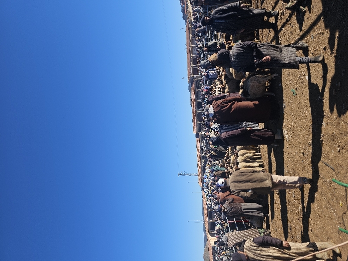 The image captures an outdoor livestock market in Azrou, Morocco, under a clear, bright blue sky. The ground consists of dry, reddish-brown earth, showing distinct shadows from direct sunlight. A large number of individuals, predominantly male, are present, many wearing traditional Moroccan djellabas and head coverings, interspersed with others in modern clothing such as jackets and caps. Numerous sheep and lambs, primarily light-colored, populate the market area, mingling among the people and contained within fenced sections.
In the immediate foreground, to the left, a person with a striped garment and staff is partially visible. In the center foreground, a person in a brown jacket and light trousers walks away from the viewer. To the right foreground, an individual in a dark, striped djellaba stands with hands clasped behind their back. Green hose-like objects are visible on the ground directly in front of the viewer.
The background features low-rise market structures with red-tiled roofs and open archways, extending across the horizon. A tall, multi-tiered metal structure, possibly a cell tower or lighting pole, stands against the sky in the mid-ground. Distant hills are faintly visible beyond the market structures. The overall scene depicts a busy, active market environment.