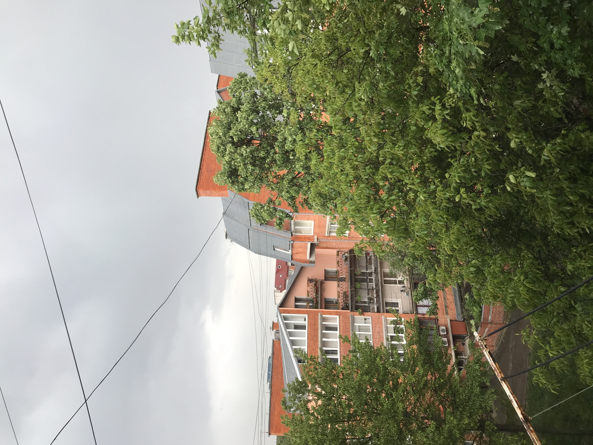 The image depicts a street view in Ternopil, Ukraine. It is a cloudy day, and the focus is on a brick building with a gray metal roof. Trees with green leaves partially obscure the building. Power lines crisscross in the sky above. The building has multiple windows and what appears to be a balcony. There is vegetation growing on the balcony. A rusted metal pole is visible in the foreground.