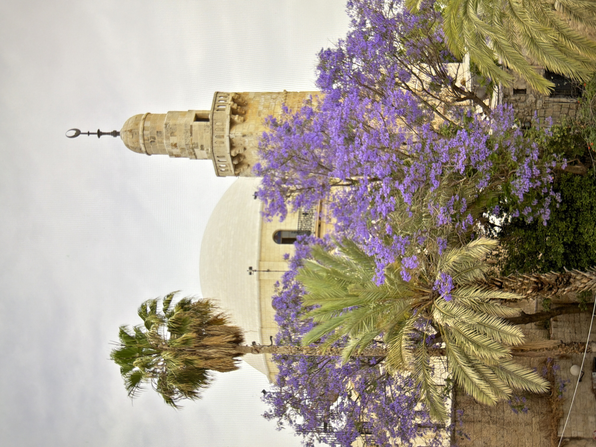 The image depicts a mosque with a dome and a minaret topped with a crescent moon, set against an overcast sky. In the foreground, palm trees and vibrant purple jacaranda trees are in bloom. The mosque appears to be constructed from stone, with ornate detailing on the minaret. The surrounding environment suggests a warm climate, characterized by the presence of palm trees and blooming flowers. The scene is serene and picturesque, showcasing a blend of architectural and natural beauty. The image was taken in Kyiv, Ukraine.