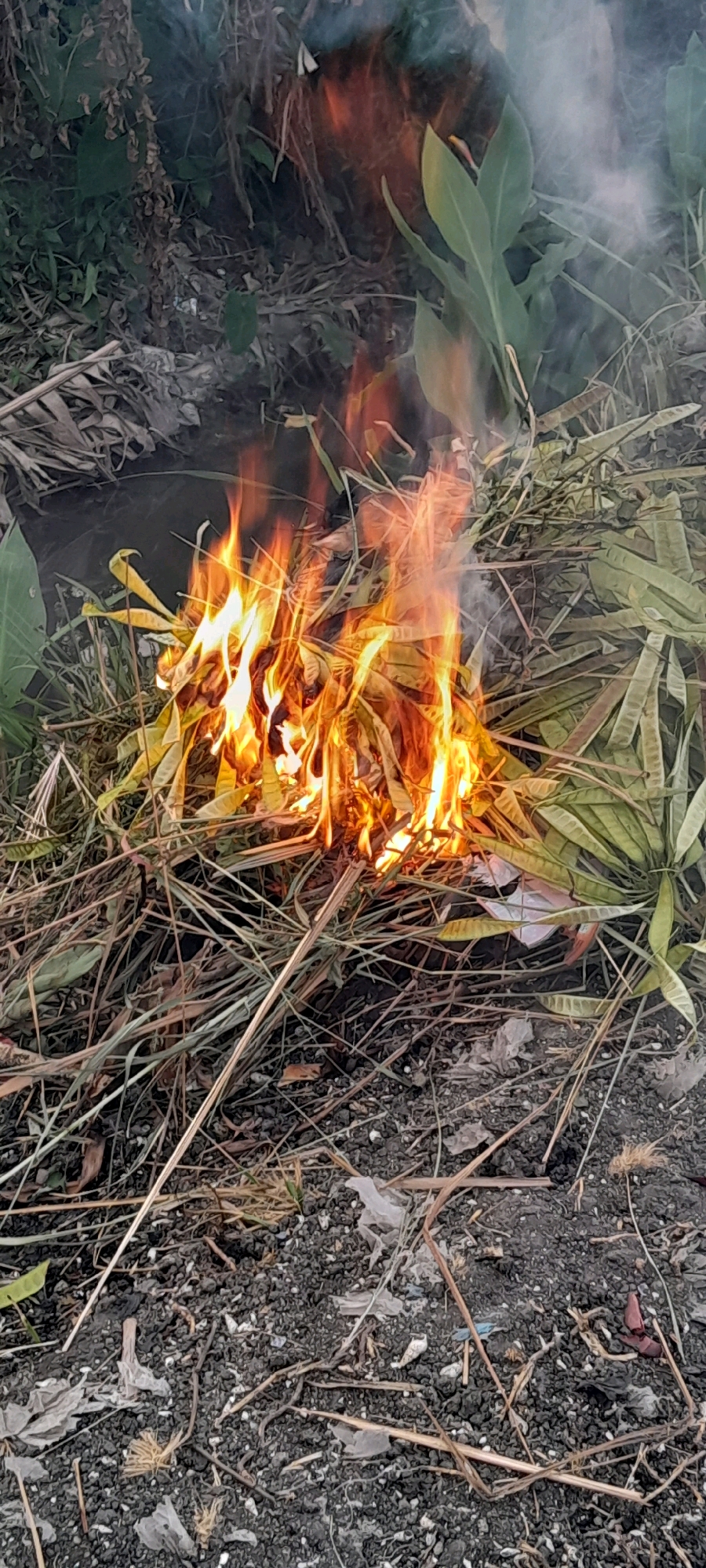 In Bendungan, Indonesia, dry leaves and twigs are burning in an outdoor setting. The fire is consuming the dried vegetation, producing smoke that drifts upwards. The ground surrounding the fire is covered with dirt, more dry leaves, and some plastic debris. The area appears to be a natural or semi-natural environment, with green plants visible in the background.