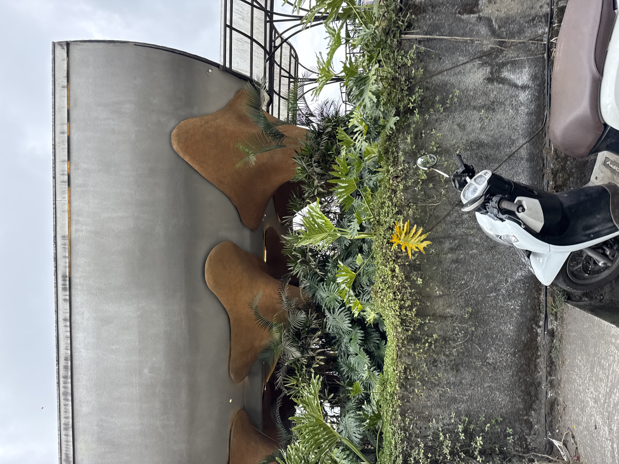 In Kintamani, Indonesia, the image captures a street scene featuring a modern building with a curved, grey facade, adorned with large, organic-shaped brown protrusions. Lush green vegetation, including large-leafed plants and trailing vines, spills over a rough, grey concrete wall that dominates the lower half of the frame. A white and black scooter with a brown seat is parked in front of the wall. The sky above is overcast and pale.