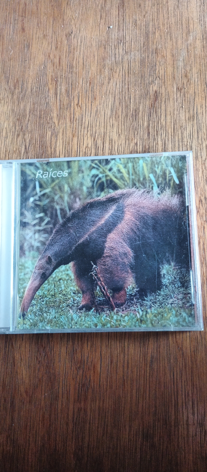 This is a media file featuring a CD cover with an image of a giant anteater in its natural habitat. The anteater is shown from the side, with its long snout pointing downwards towards the grassy ground. It is mostly covered in dark fur with prominent stripes along its back. The background consists of lush green grass and some vegetation. The CD case is clear plastic and is placed on a wooden surface with visible grain.
The text "Raíces" is visible in white font on the upper left portion of the CD cover.
The image appears to be a still photograph, with no specific time of day or weather conditions discernible. The location is identified as La Tagua, Venezuela. The overall impression is one of wildlife photography, showcasing the anteater in a peaceful, natural setting.