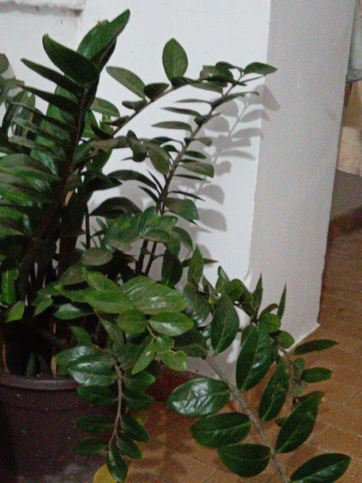Memory