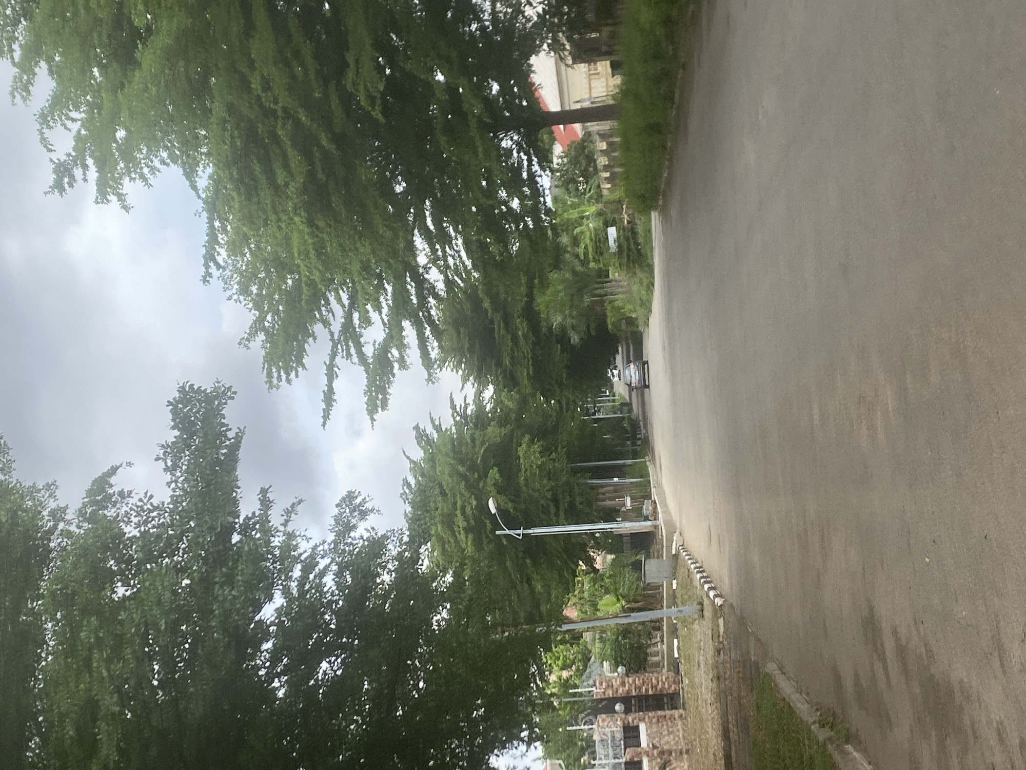 The image depicts a paved road in the city of Gosa, Nigeria, lined with lush green trees on both sides, creating a canopy effect overhead. The sky is overcast with gray clouds. On the left side of the road, there is a brick fence and a metal gate, adjacent to a sidewalk and some vegetation. A street light stands on a pole near the fence. Further down the road, a light-colored car is visible, driving away from the viewer. On the right side of the road, there are more trees and some buildings with red roofs in the background, obscured by foliage. The overall scene suggests a residential or suburban area with well-maintained landscaping.
