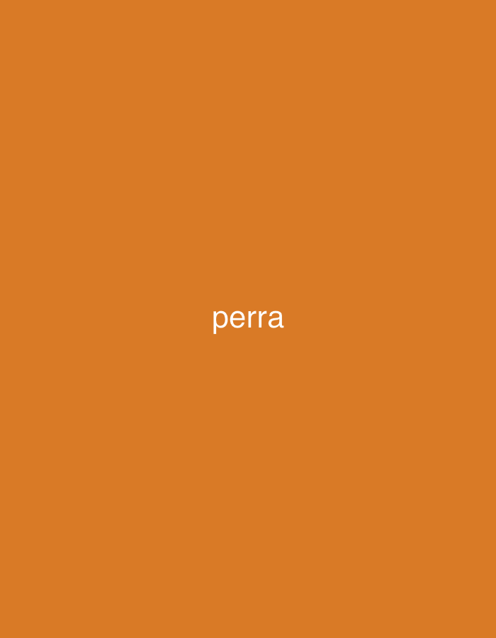 The image displays a solid, uniform orange-brown background. The word "perra" is centrally placed in white, sans-serif font. There are no other subjects, objects, or activities depicted. The background is abstract, offering no specific environmental or geographical cues that would indicate a location like Santa Ana, Venezuela. The image does not convey a particular time of day, weather conditions, or specific emotions. The visible text "perra" is the sole element of focus within the frame.