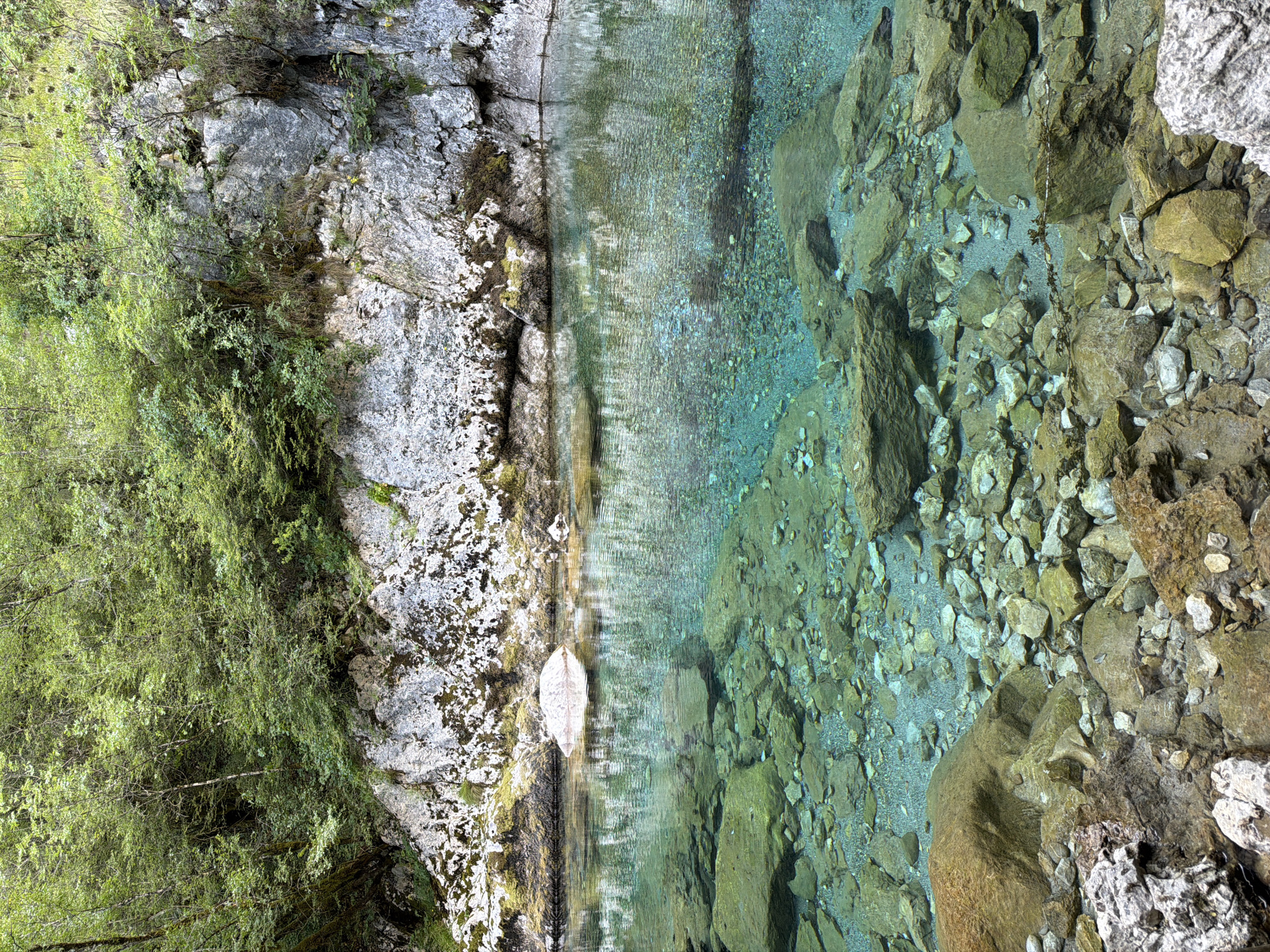 The image depicts a crystal-clear turquoise river flowing through a gorge in Lazba, Montenegro. The riverbed is visible, strewn with smooth, rounded stones and larger boulders. On the left side of the river, a sheer, rocky cliff face rises, covered in lush green vegetation and moss. The water reflects the surrounding rocks and trees. The scene conveys a sense of natural tranquility and pristine wilderness.