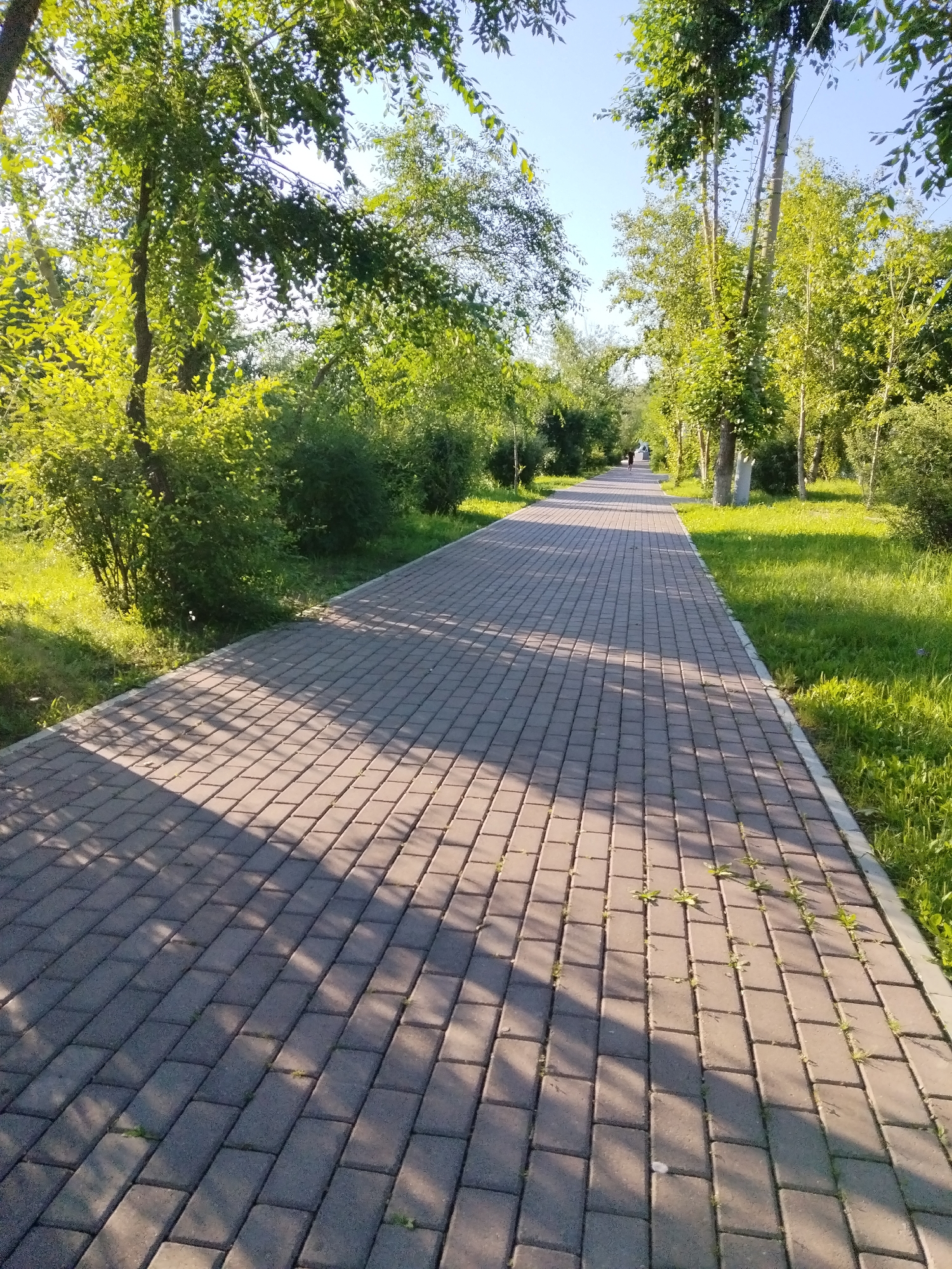 The image depicts a paved pathway in a park-like setting, likely in Chita, Russia, on a bright, sunny day. The pathway is constructed of interlocking rectangular pavers, forming a pattern that stretches into the distance. The left side of the pathway is bordered by lush green bushes and trees, with sunlight casting dappled shadows across the pavement. The right side features a grassy area with more trees and bushes. In the far distance, two figures are visible walking along the pathway, their forms silhouetted against the brighter light. The sky is a clear blue. The overall scene suggests a tranquil, well-maintained public space.
