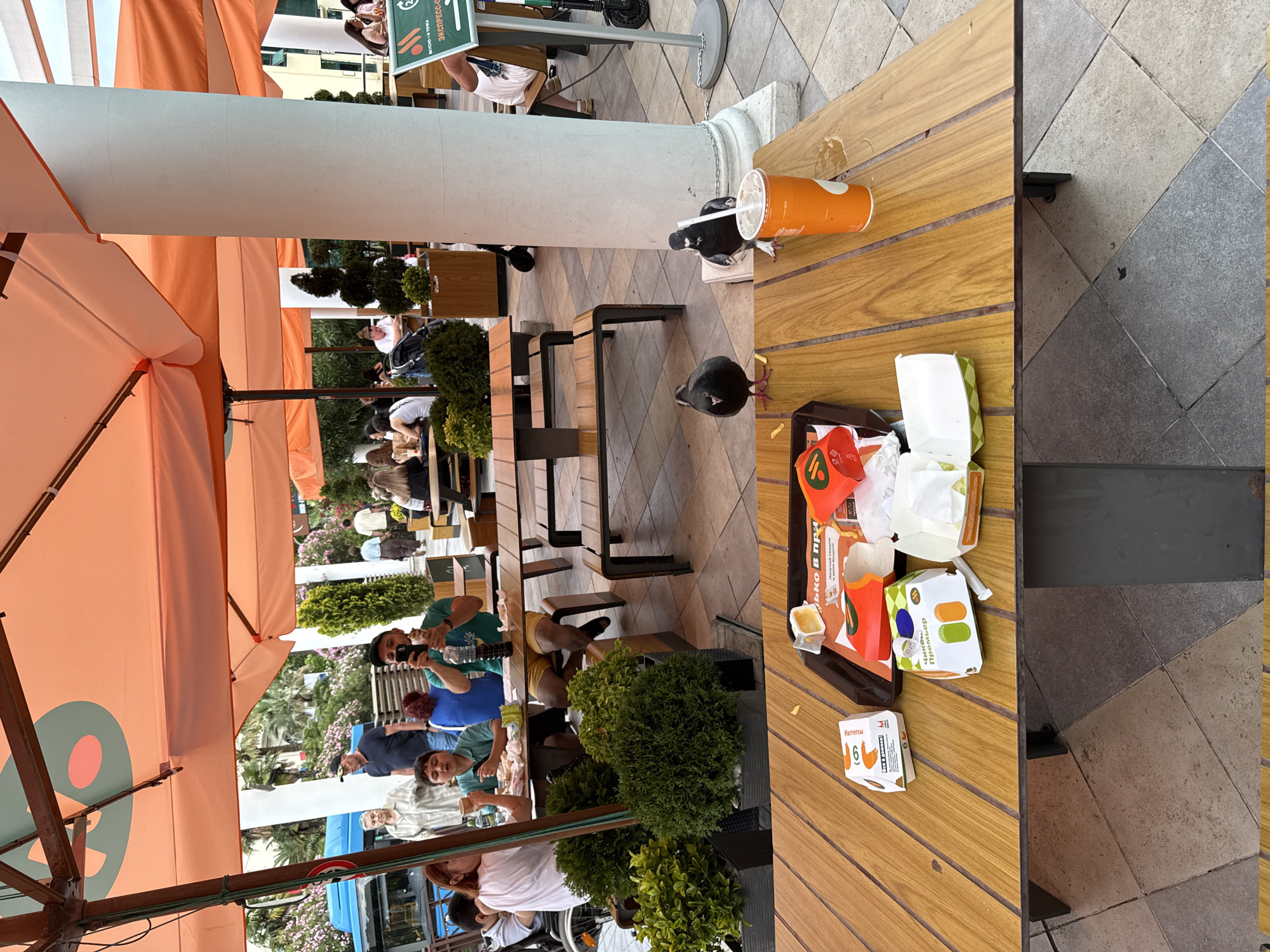 In Sochi, Russia, this outdoor seating area appears to be a fast-food restaurant with orange umbrellas providing shade. On a wooden table in the foreground, there are two pigeons, one with a straw in its mouth, near a bright orange cup and remnants of fast food, including burger wrappers and french fries. Further back, several people are seated at tables, some eating and others engaged with their phones. A blue bus is visible in the background, suggesting proximity to a transportation hub. The scene captures a moment of casual dining amidst an urban environment.