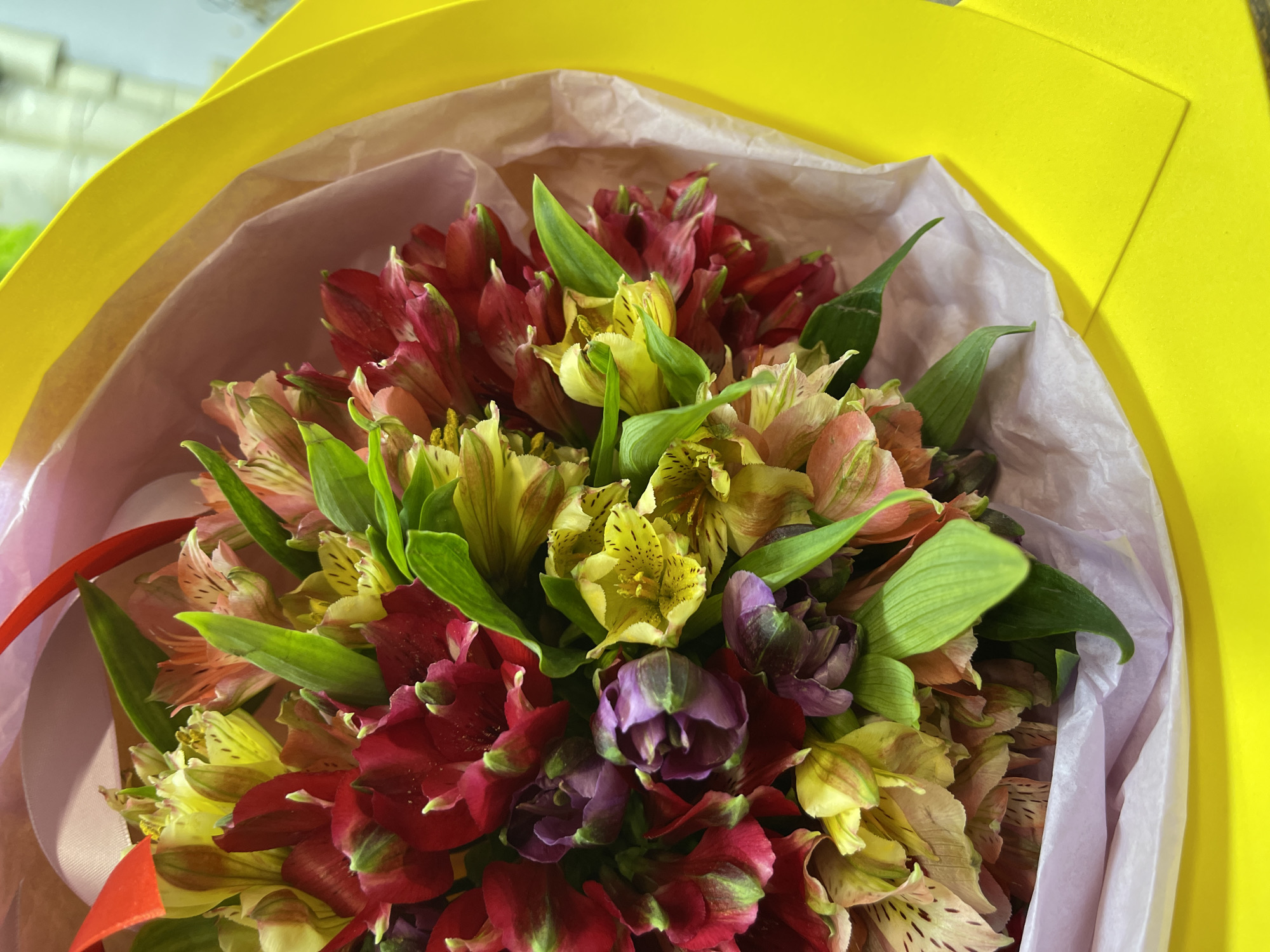 A close-up, overhead shot of a vibrant bouquet of alstroemeria flowers is presented. The flowers display a mix of colors including deep reds, purples, yellows, and light oranges, with green leaves interspersed throughout. The bouquet is wrapped in pale pink and white tissue paper, which is then placed against a bright yellow background, possibly a table or a sheet of paper. No people or specific city landmarks are visible. The lighting is bright, suggesting an indoor setting with artificial light.