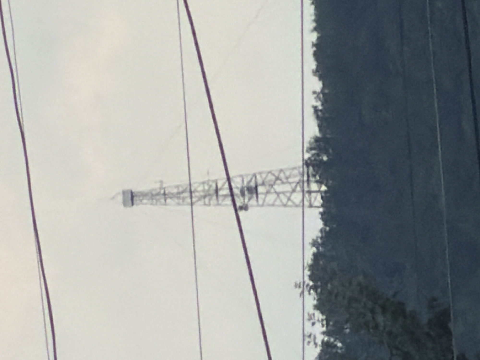 A transmission tower stands tall amidst a tree-lined landscape, silhouetted against an overcast sky. The tower, a lattice of metal, has a distinctive A-frame structure and a platform near its summit. Several power lines traverse the foreground, their dark lines bisecting the frame and obscuring parts of the scene. The foliage below is dense and dark, with hints of lighter green emerging from the trees on the left. The overall impression is one of a rural or semi-industrial setting, possibly on the outskirts of Pavel Banya, Bulgaria, where such infrastructure might be common.
