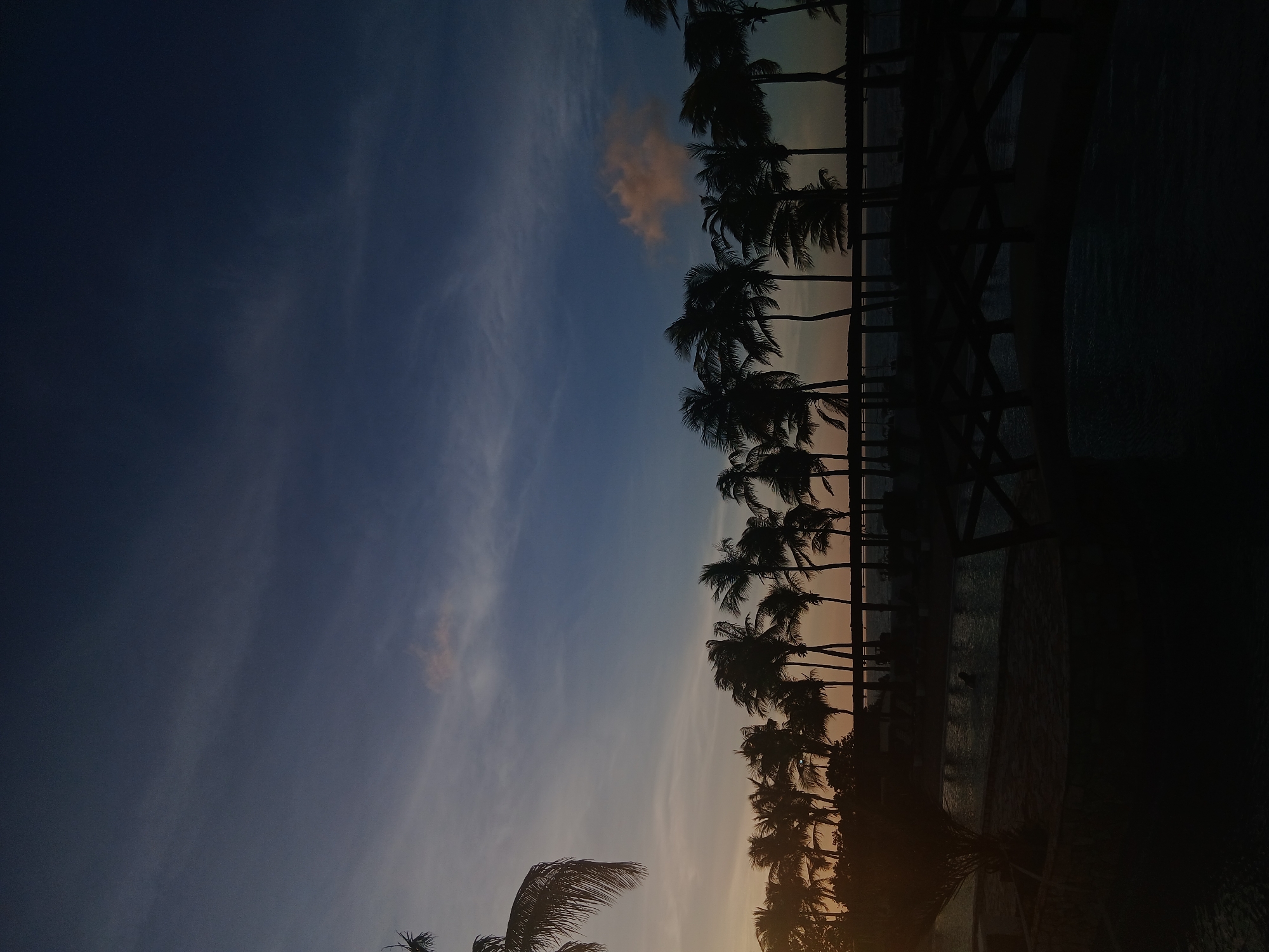 This image, set in Altagracia, Venezuela, presents a twilight scene. The sky transitions from deep blue overhead to muted orange and pink hues at the horizon, featuring sparse, wispy clouds. A prominent horizontal line of numerous silhouetted palm trees dominates the mid-ground, their dark fronds appearing wind-swept. In the foreground, a dark body of water, consistent with a pool or lagoon, contains a single partially submerged individual positioned left of center. To the right, a dark, multi-level wooden structure, possibly a bridge or pier, extends across the lower portion of the frame over the water, which reflects the diminishing light.