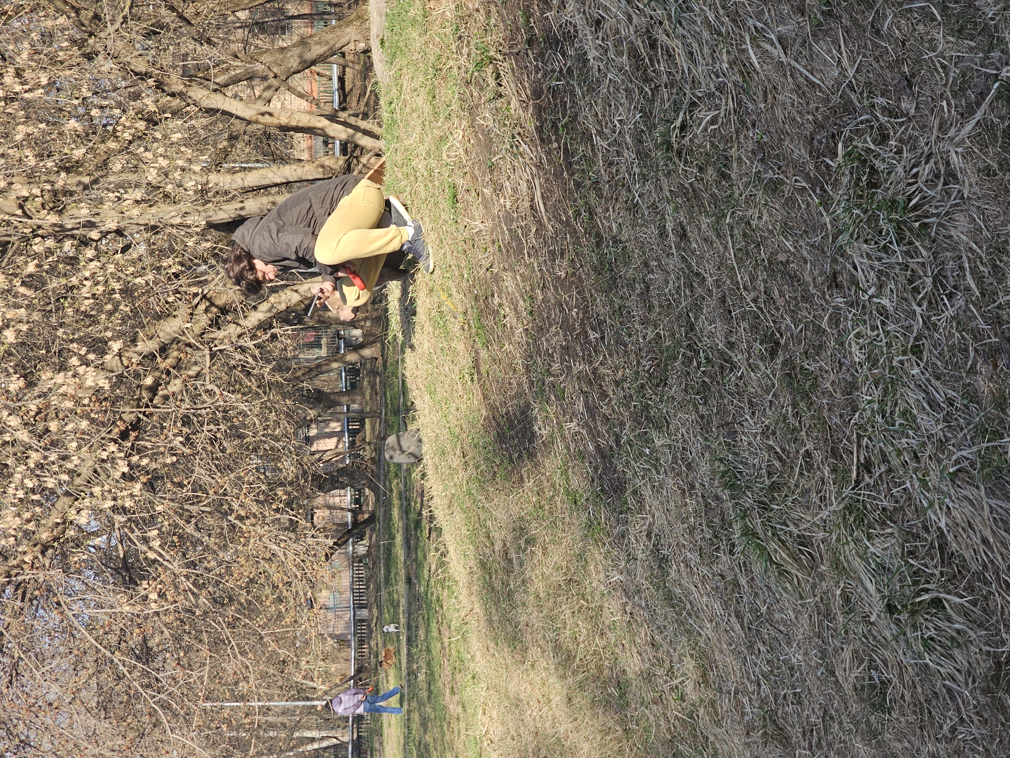 A person wearing a black jacket and yellow pants is crouched near a tree with bare branches. They appear to be holding a tool or object in their hands. The setting is outdoors, with a grassy slope to the right. In the background, there's a fenced area, trees, and what appears to be a building. A second person and two dogs are visible in the background, walking.
The location is Khimki, Russia.
