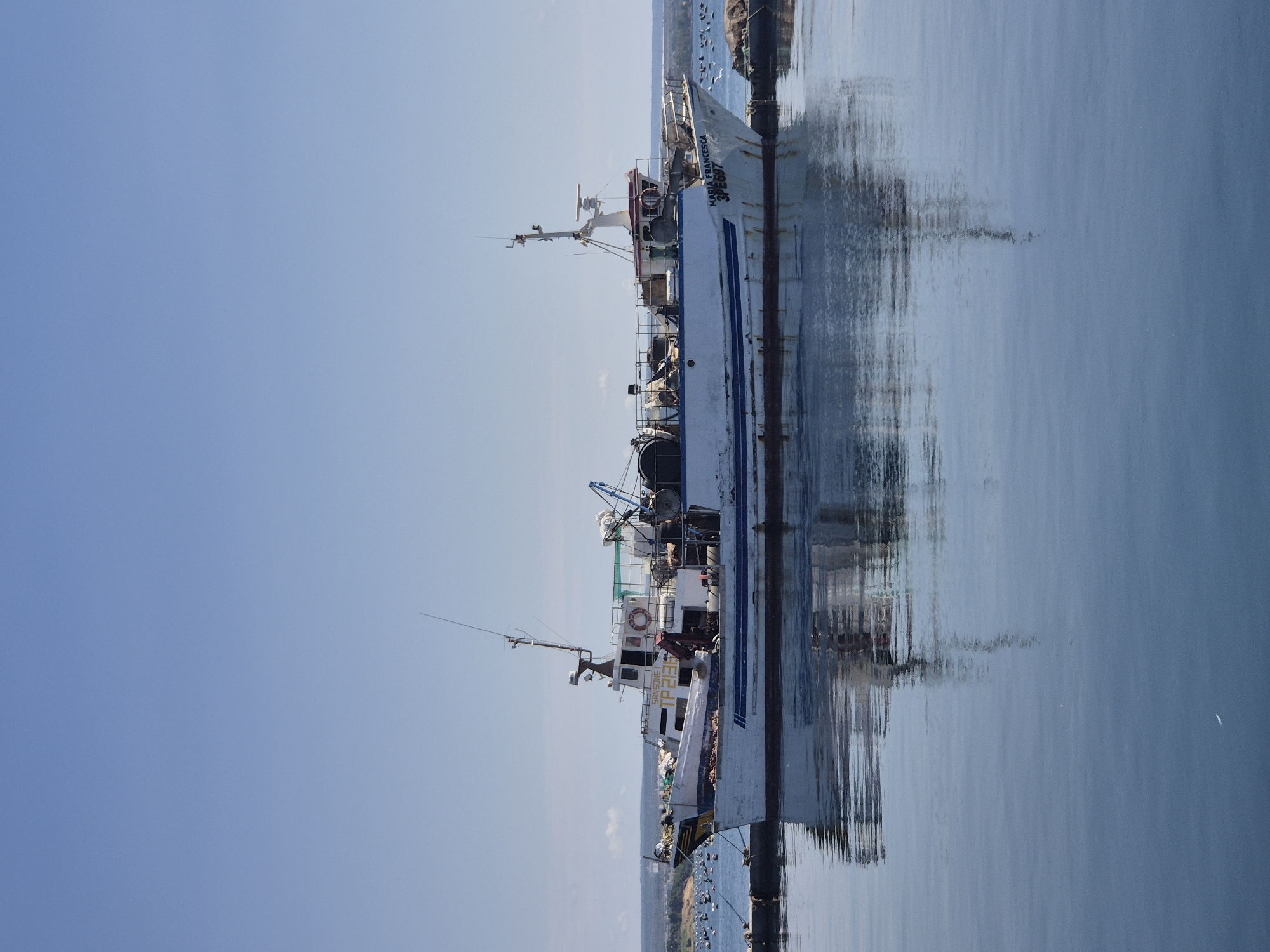 A fishing trawler named "MARIA FRANCESCA" with registration "3PE697" is docked at a pier in the Mar Piccolo of Taranto, Italy. The vessel is predominantly white with blue stripes along its hull. It is equipped with various fishing gear, including nets and a crane. The water reflects the boat and the clear blue sky. In the background, the coastline is visible with some vegetation and a town or city. Several smaller boats and some seagulls are also present in the water near the pier. The overall scene depicts a typical maritime setting in a harbor.