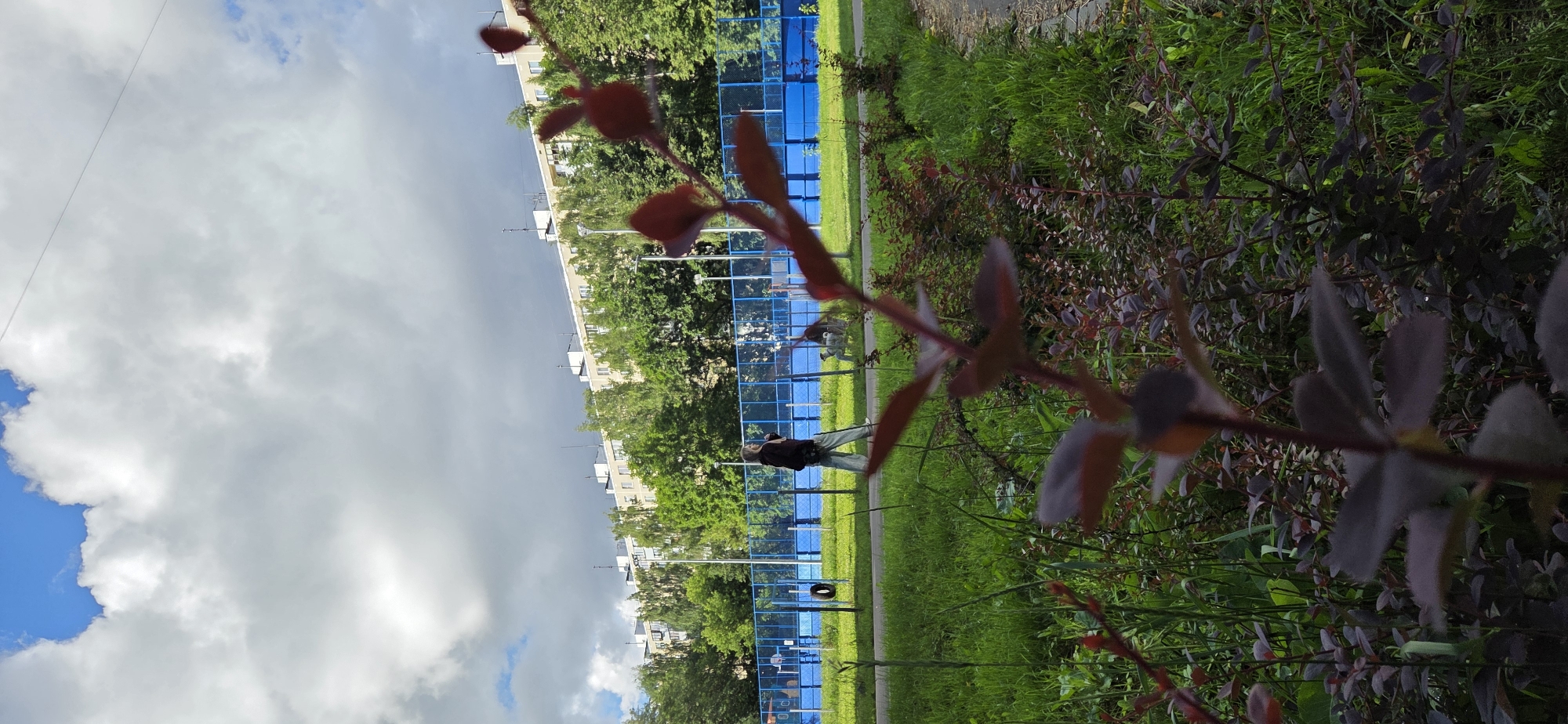 The image depicts an outdoor scene with a person in the foreground, partially obscured by red-tinged foliage. The person is standing on a paved path next to a bright blue fenced area, likely a sports court. They are wearing a dark top and light-colored pants, with their back to the camera, looking towards the court. Behind the court, there are green trees and apartment buildings. The sky is a mix of blue patches and large, fluffy white clouds, suggesting it is daytime with variable weather. The overall setting appears to be a residential area with recreational facilities, possibly in Moscow, Russia, given the context. The foliage in the foreground is in sharp focus, while the background elements are softer. There are no visible text elements in the image.