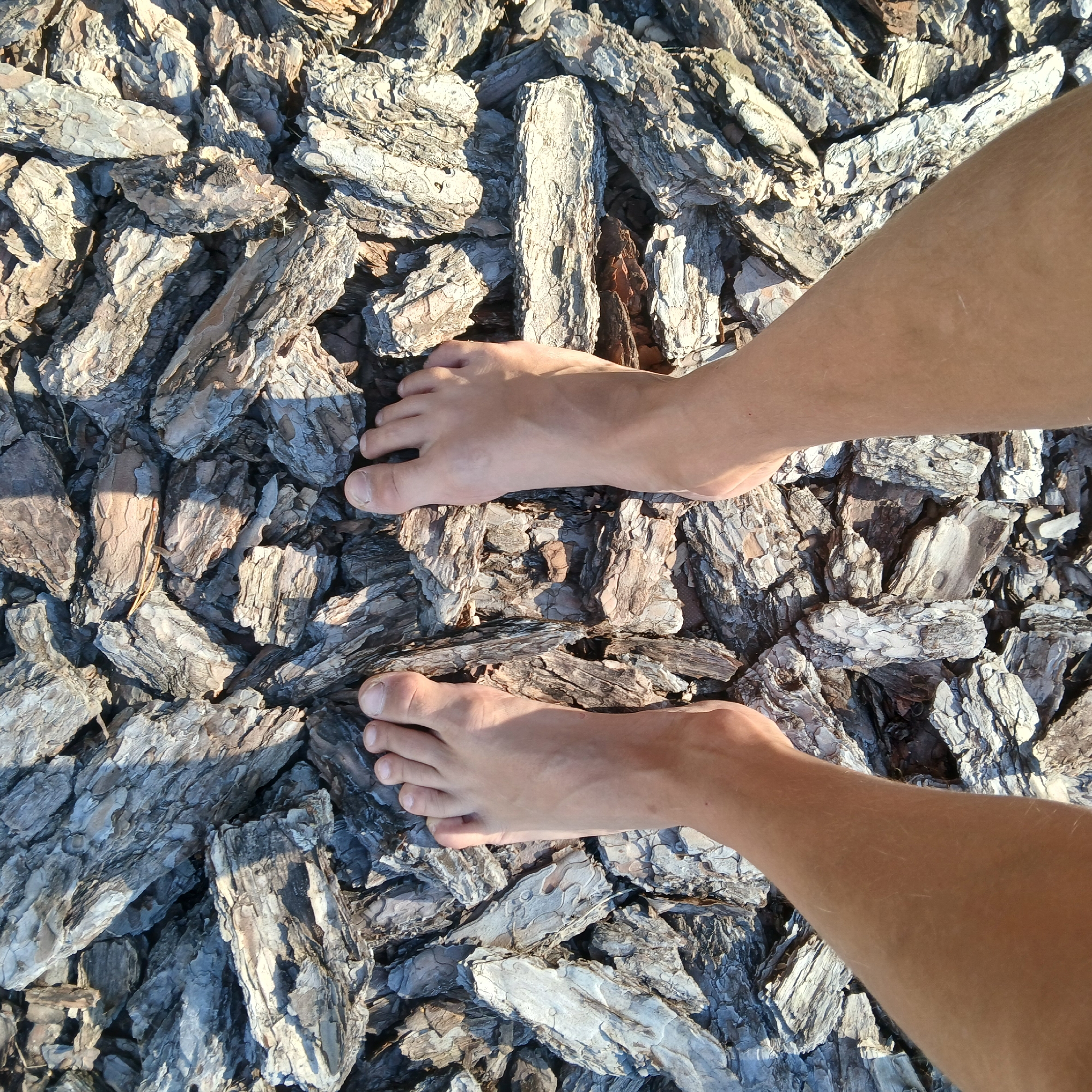 The image shows a top-down view of a person's bare feet standing on a surface covered with rough, gray bark chips or pieces of wood. The bark chips are irregular in shape and size, with visible texture and variations in color, ranging from light gray to darker brown and some with white highlights. Sunlight casts shadows on the bark, indicating an outdoor setting. The feet appear healthy, with visible toes and toenails. The skin on the legs is visible from the knees down, and it appears to be lightly tanned. There are no other people or objects clearly visible in the frame besides the feet and the bark. The environment appears to be a natural or landscaped area, possibly a park or garden. The image does not contain any visual information that would indicate the specific location within the city of Samarsky, Russia.