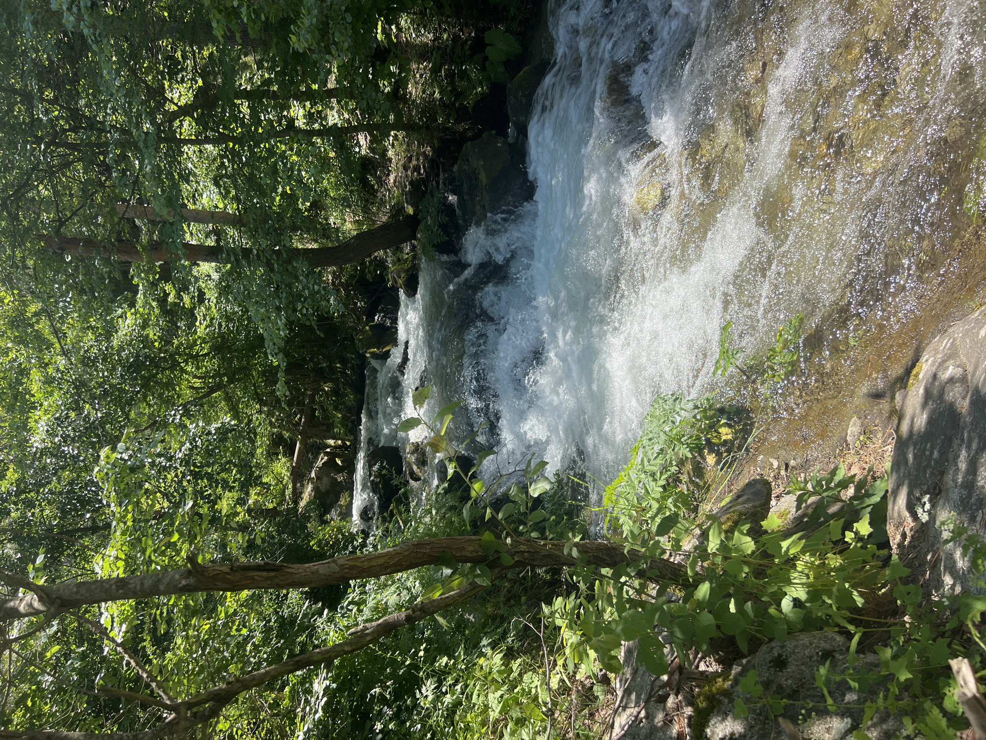 The image depicts a natural scene with a fast-flowing stream in a forest environment. The stream is characterized by white, turbulent water cascading over rocks. The surrounding area is lush with green foliage, including trees and undergrowth, with sunlight filtering through the leaves, creating dappled light and shadow patterns. Rocks and tree trunks are visible along the banks of the stream. The overall impression is one of a serene and untouched natural landscape. The location is identified as Ovchartsi, Bulgaria. There are no people or any human-made objects, apart from what might be remnants of a path or fallen branches, evident in the image.
