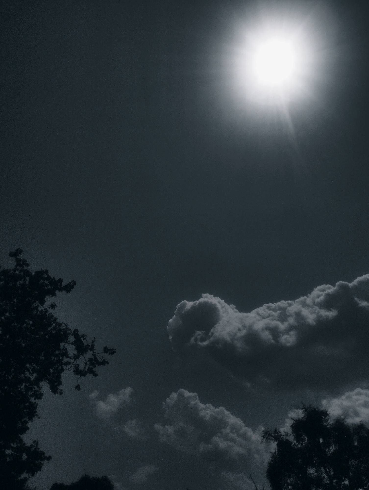 The media file depicts a high-angle shot of a bright, midday sun shining in a dark, overcast sky. The sun is positioned in the upper right quadrant of the image and radiates light outwards, creating a halo effect. In the lower left quadrant, the silhouette of a tree with dense foliage is visible, its branches reaching upwards. Along the bottom of the image and extending into the lower right, a line of dramatic, dark clouds is present, with some lighter, puffy clouds scattered above them. The overall scene is captured in a monochrome, desaturated tone, suggesting a possibly humid or hazy atmospheric condition common in tropical regions. The time of day is clearly midday, indicated by the intensity of the sun. The location is contextually identified as Jos, Nigeria, which aligns with the visual cues of a tropical sky and vegetation. There is no visible text in the image.