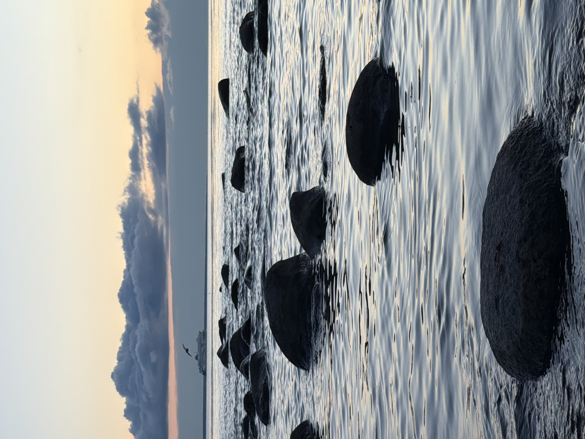 The image depicts a serene seascape at dusk in Haabneeme alevik, Estonia. The foreground is dominated by dark, smooth rocks emerging from calm, rippling water. The water reflects the soft, pastel hues of the twilight sky. In the mid-ground, more rocks are visible, scattered across the surface of the water, some partially submerged. In the distance, a large ferry navigates the horizon under a dramatic, cloud-filled sky. A lone bird, likely a seagull, soars in the sky above the ferry. The overall atmosphere is peaceful and tranquil, capturing the essence of an Estonian coastal evening.