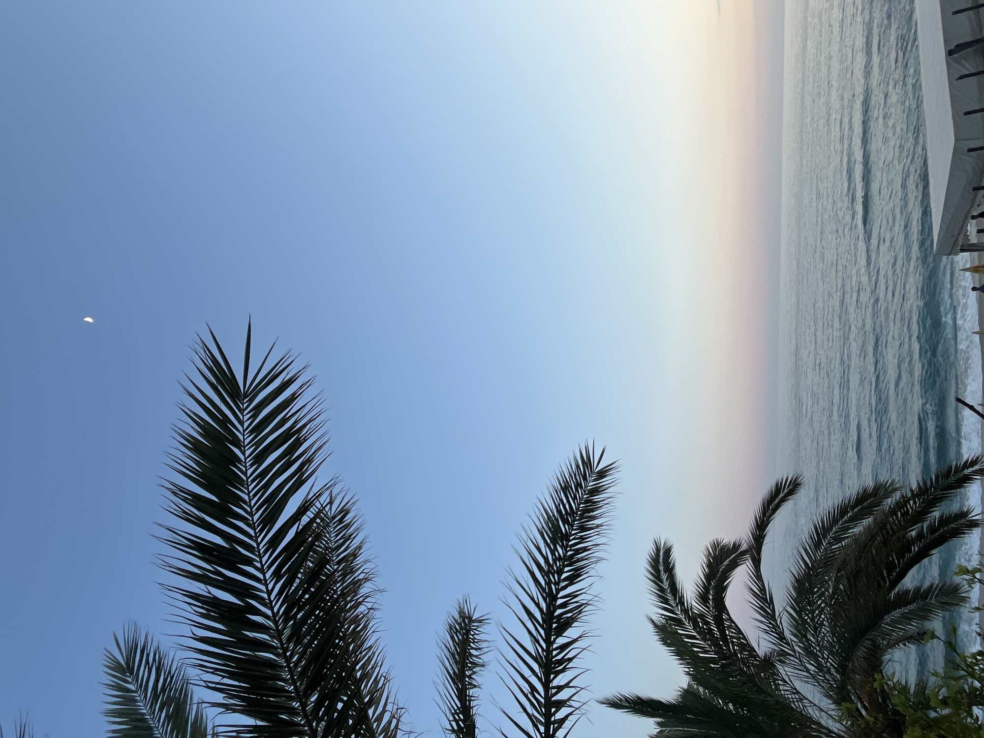 The image depicts a view from Alanya, Turkey, overlooking the Mediterranean Sea during what appears to be dusk or dawn. The sky transitions from a light blue near the horizon to a deeper blue overhead. A sliver of the moon is visible in the upper left quadrant of the sky. The sea is a muted blue-grey, displaying subtle wave patterns. Palm trees are silhouetted against the sky in the foreground. A building or structure is partially visible on the right edge of the image, hinting at nearby coastal development. There are no visible people, objects, or interactions in the image beyond the landscape elements.