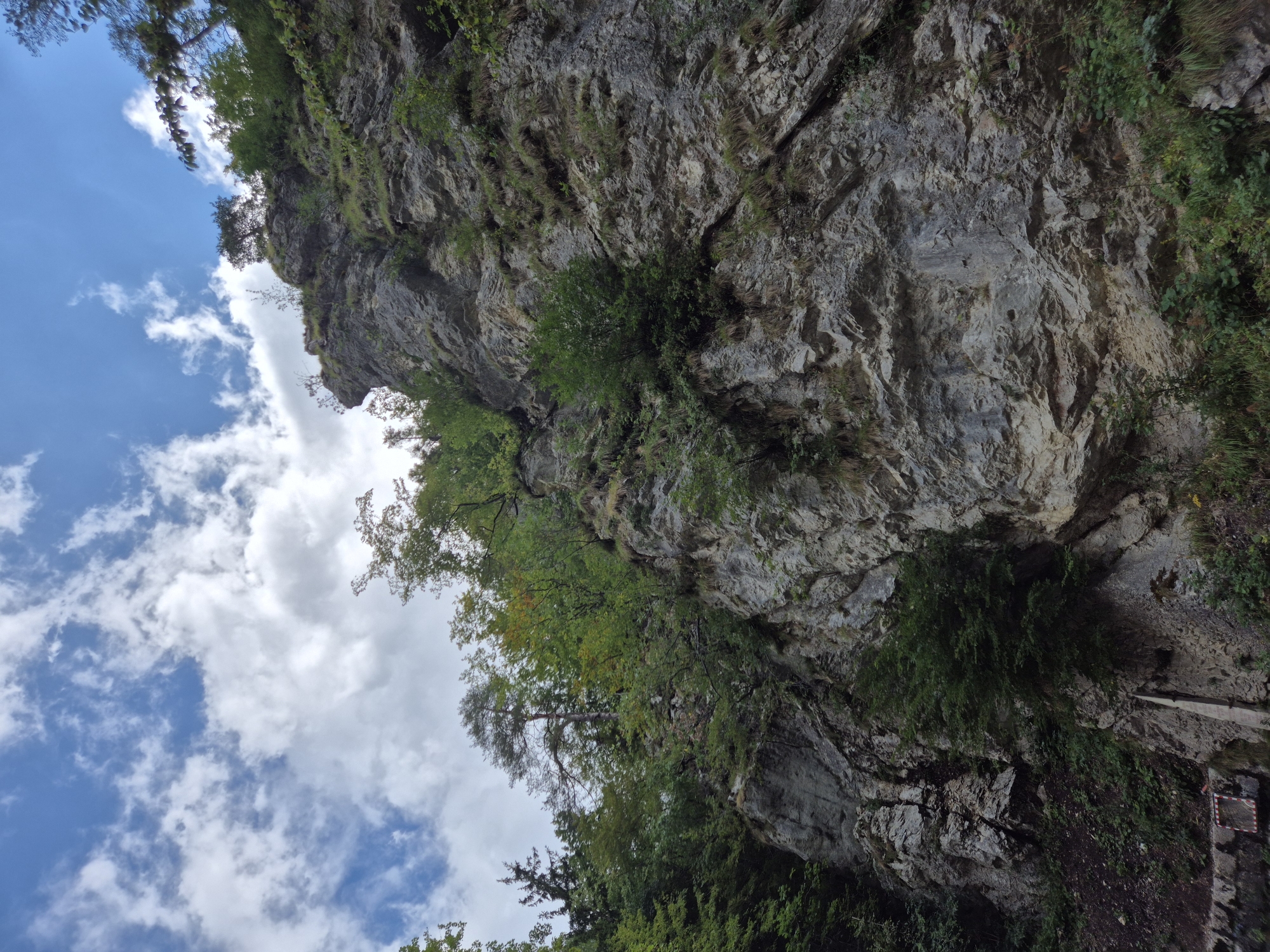 This is a low-angle, eye-level, medium shot of a steep, rocky cliff face partially covered in vegetation. The cliff is made of grey stone with visible cracks and rough textures. Green trees and bushes grow from ledges and the base of the cliff. The sky above is blue with scattered white clouds. The image appears to be taken in an outdoor, natural setting. The location is identified as being in the city of Ferlach, Austria. There are no people or animals visible in the image. The image captures the rugged natural landscape of a mountainous or hilly region.