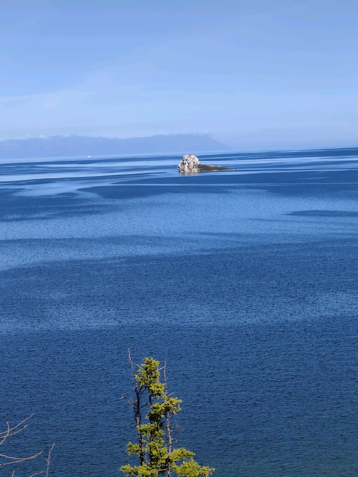 A wide shot shows a tranquil blue lake with a small, rocky island in the distance. The island, topped with a few green shrubs, is situated in the middle of the expansive body of water. The water's surface is a rich blue, with subtle ripples creating a textured effect. Faint, horizontal lines stretch across the water, possibly indicating currents or distant landmasses. The sky above is a clear, bright blue, with a hazy, lighter blue band near the horizon. In the foreground, a tall, slender tree with vibrant green foliage stands on the right side of the frame, its branches reaching upwards. Bare, delicate branches of another tree are visible on the far left. The scene appears to be set in Kharantsy, Russia, given the distinctive landscape often associated with Lake Baikal.