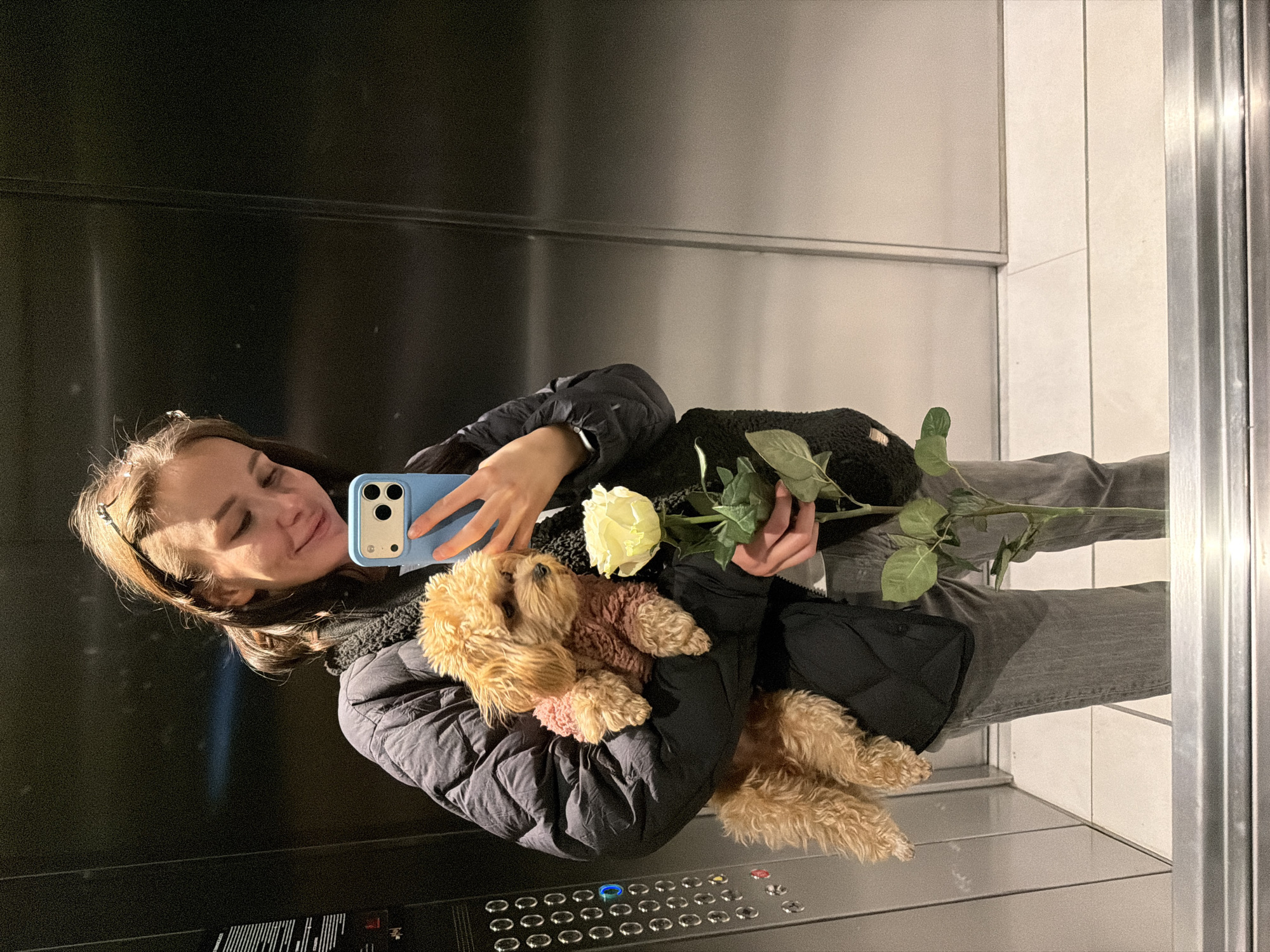 A female individual is depicted in a full-length reflective image, taking a selfie likely within an elevator. She has light brown hair, wears a black quilted puffer jacket over a dark garment (possibly a black fuzzy vest), and grey trousers. Her expression is a slight smile, with her eyes directed downwards at the light blue smartphone in her right hand, which features a triple-lens camera setup. Cradled in her left arm is a small, light brown, fluffy dog, resembling a Poodle mix, dressed in a pink or reddish-brown textured sweater. Her right hand, beyond holding the phone, also grips a single white rose with a long green stem and leaves. The elevator interior features dark, reflective metallic walls. An elevator control panel is visible on the left side of the reflection, displaying multiple silver circular buttons with black centers, one of which is illuminated in blue. The floor of the elevator, visible in the lower part of the reflection, consists of light-colored tiles. The specific location within Moscow, Russia, is not discernible from the provided image.