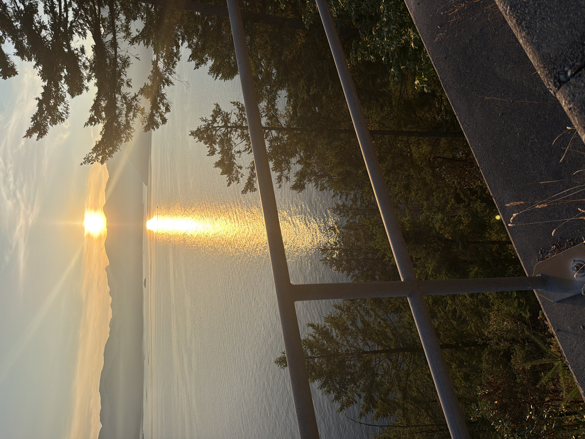 The image captures a serene sunset over a body of water, likely a lake or ocean, in the Elaho/Garibaldi area of Area D, Canada. The sun, a bright orb, is low on the horizon, casting a golden glow that reflects on the rippling water. Distant, hazy mountains form a silhouette against the luminous sky, which is streaked with soft clouds. In the foreground, a metal railing runs horizontally across the frame, partially obscuring a view of coniferous trees that line the embankment. The trees are bathed in the warm light of the setting sun, with some branches extending into the frame. A paved path or road is visible in the lower right corner of the image, with dry grass stalks growing along its edge. The scene appears tranquil and natural, evoking a sense of peace and natural beauty.