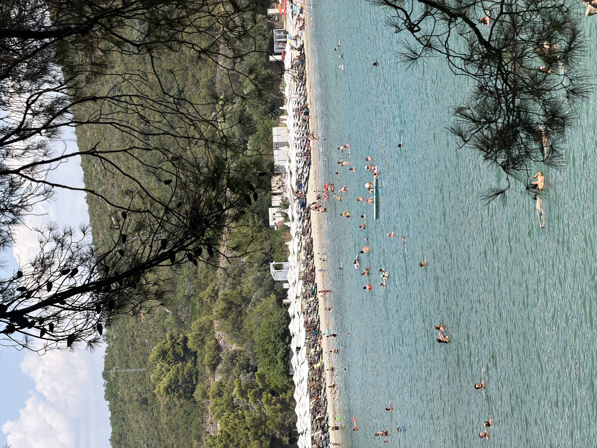 The image shows a crowded beach scene in Bigova, Montenegro. The foreground is dominated by the dark silhouettes of pine branches, obscuring parts of the view. The beach itself is lined with numerous white umbrellas and lounge chairs, indicating a popular tourist destination. Many people are visible on the beach, seated or walking. The sea is a vibrant turquoise blue, with a considerable number of people swimming, floating, and engaged in water activities. Some are on inflatable devices, while others are swimming freely. The background consists of a lush green, hilly landscape covered in dense vegetation and scattered trees. A faint outline of a power line tower can be seen on the hillside. The sky is partly cloudy with bright sunlight.