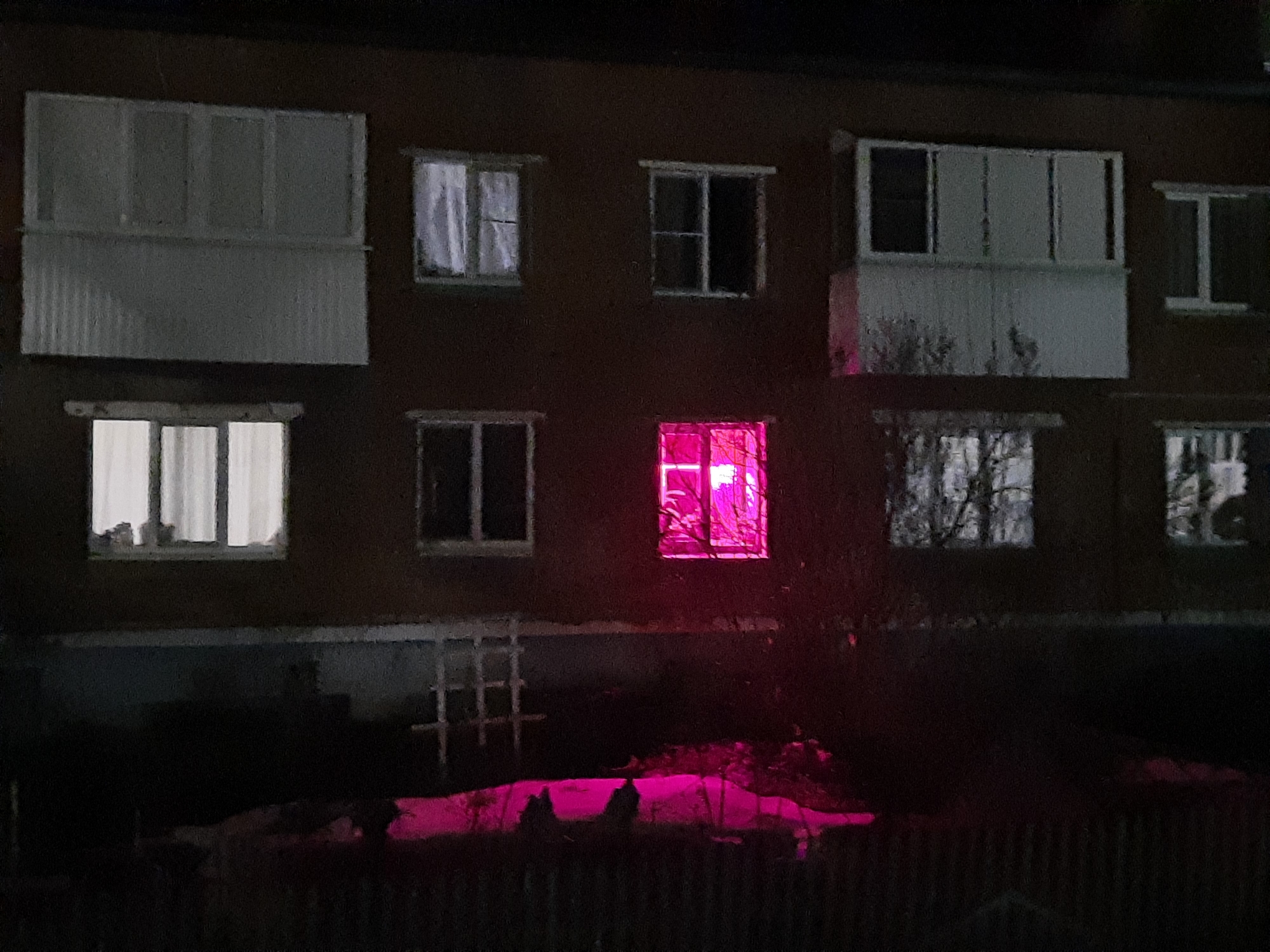 The image shows the exterior of a multi-story building at night. The building has multiple windows, some of which are lit with white light and one window emits a strong magenta light. There are balconies on some of the upper floors. In the foreground, there is a dark yard area with some shrubbery illuminated by a magenta glow, matching the color of the illuminated window. A small wooden ladder is also visible near the base of the building. The location is Krasnogorskoye, Russia.