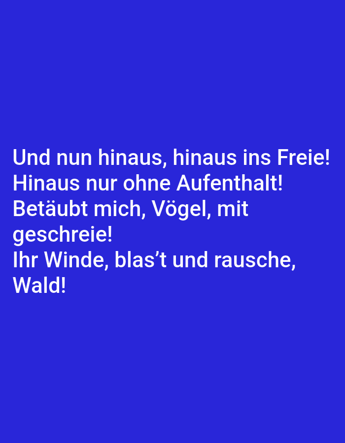 The image contains text on a blue background. The text reads: "Und nun hinaus, hinaus ins Freie! Hinaus nur ohne Aufenthalt! Betäubt mich, Vögel, mit geschreie! Ihr Winde, blas't und rausche, Wald!" This translates to: "And now out, out into the open! Out without delay! Daze me, birds, with your cries! You winds, blow and roar, forest!" There are no people, objects, or environmental elements visible in the image besides the text itself and the blue background. There is no information about the city of Tallinn, Estonia.