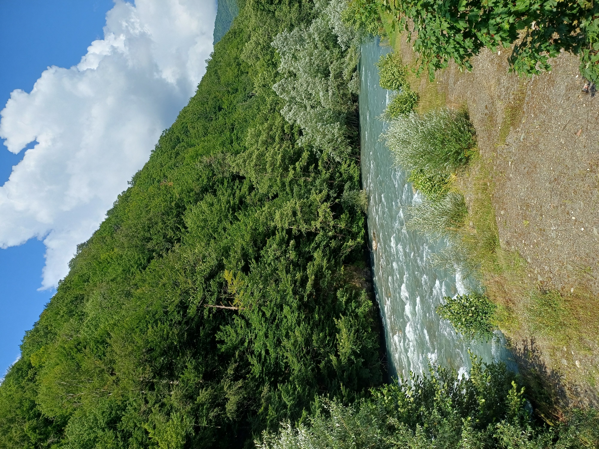 The image depicts a wide, fast-flowing river with white water rapids, bordered by lush green trees and vegetation. The river occupies the lower half of the frame, with its turquoise water reflecting the sky. On the left bank, a steep, densely wooded hill rises, covered in a variety of green trees. On the right bank, the terrain slopes down to the river, with a mix of smaller bushes and grasses. The sky above is blue with scattered white clouds. The scene is natural and appears to be in a mountainous or hilly region, consistent with the location of Estosadok, Russia, which is known for its natural beauty and proximity to the Caucasus Mountains. There are no people or man-made structures visible in the image.