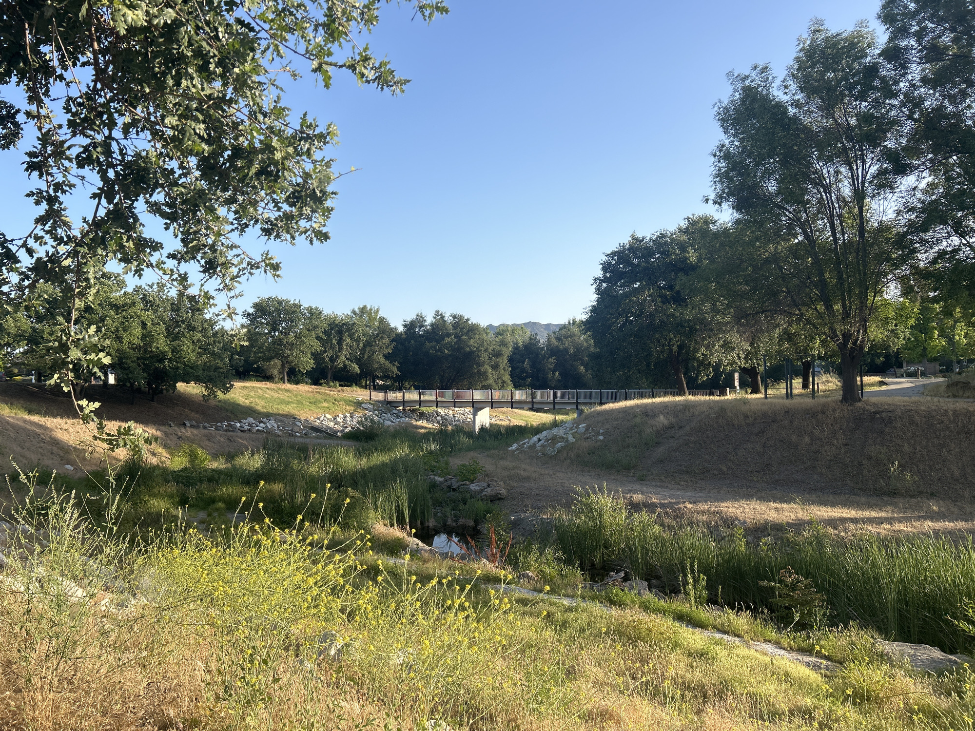 This photograph depicts a landscape in Agoura Hills, United States of America. In the foreground are yellow flowers and tall grasses. Beyond that is a dry creek bed with some greenery and small pools of water. A bridge spans the creek bed in the mid-ground, connecting grassy banks. Trees line the horizon under a clear blue sky.