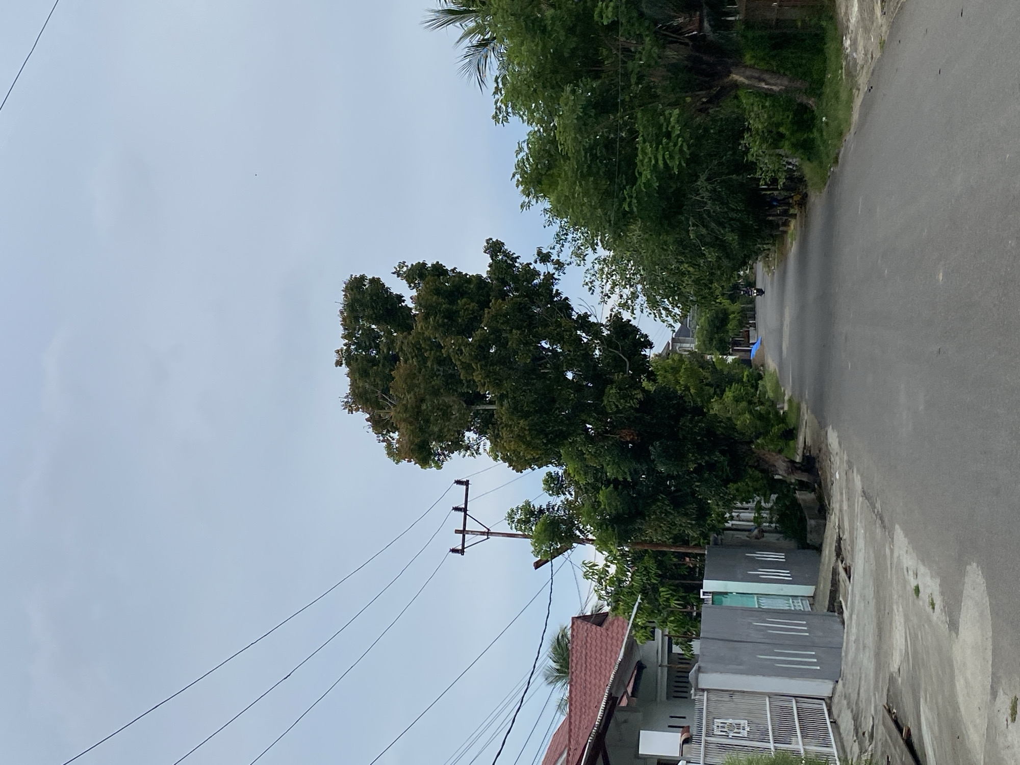 The image depicts a residential street in Lhokseumawe, Indonesia, under an overcast sky. A paved road runs through the center, flanked by houses and lush green trees. On the left side, a white house with a red-tiled roof is visible, bordered by a white fence and a grey wall with white decorative lines. A prominent, tall tree with dense foliage stands in the middle ground, casting a shadow. Further down the street, a person is seen riding a motorcycle. The right side of the street is lined with trees and vegetation, with glimpses of more houses behind them. Overhead, several electrical wires stretch across the sky, supported by a utility pole. The overall impression is a quiet, suburban street scene in Indonesia.
