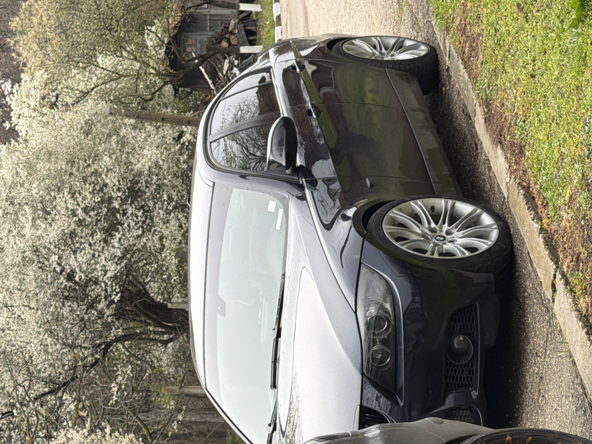 A black BMW sedan is parked on the side of a paved road. The front of the car is in view. The car is parked near a curb with grass on the other side. A tree with white blossoms is visible in the background along with a small shed-like structure. The location is Brestovene, Bulgaria. Another vehicle partially visible at the bottom of the image.