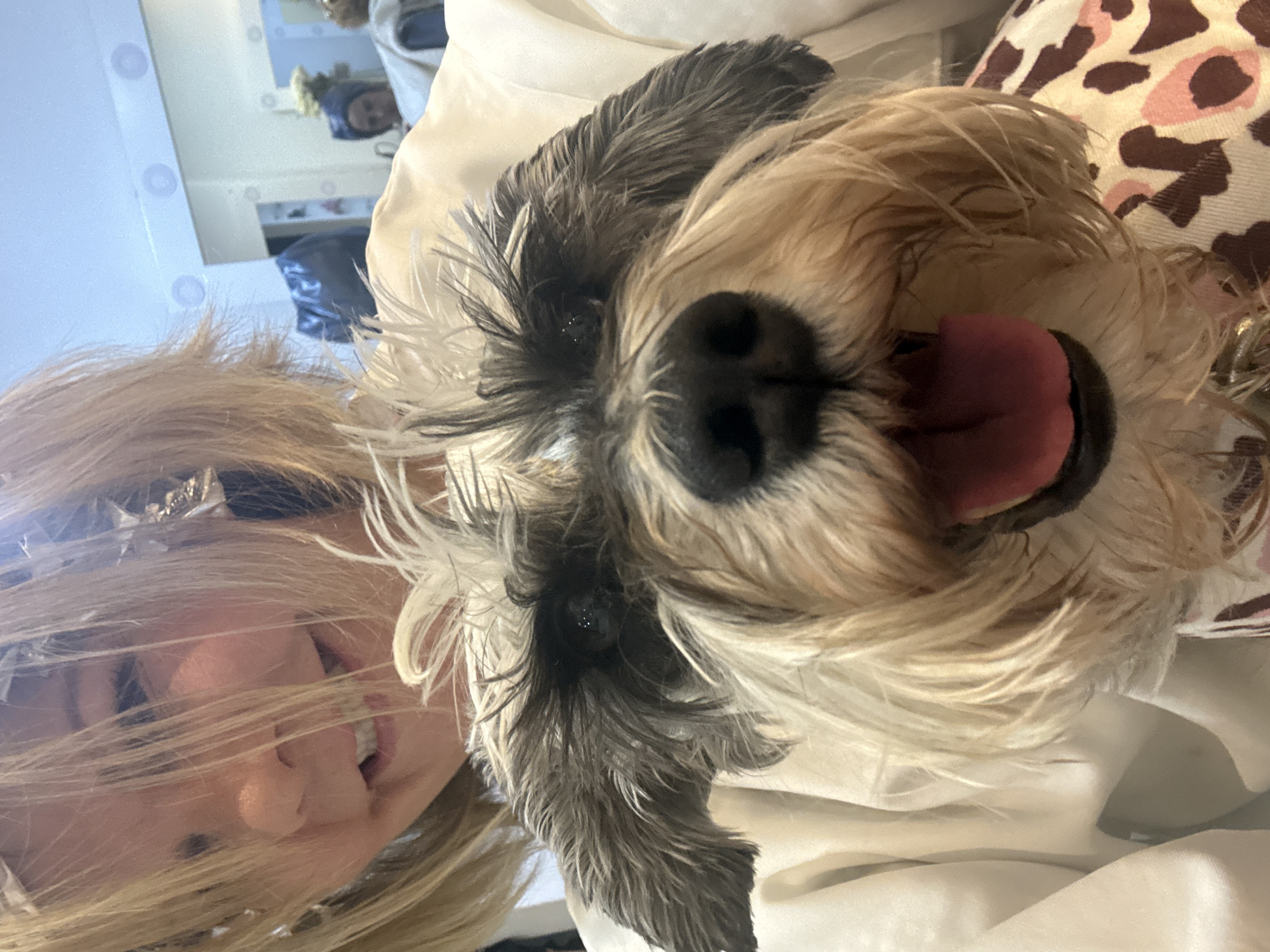 A woman with blonde, highlighted hair is lying down, possibly in a residential interior. She is smiling slightly. Next to her is a small, furry dog, possibly a schnauzer mix, with gray and beige fur. The dog's tongue is hanging out. A portion of patterned fabric is visible in the background. A reflection of a person and interior elements suggests this image was taken in a mirror. The scene does not obviously occur in Huixquilucan de Degollado, Mexico. The location is indeterminate.