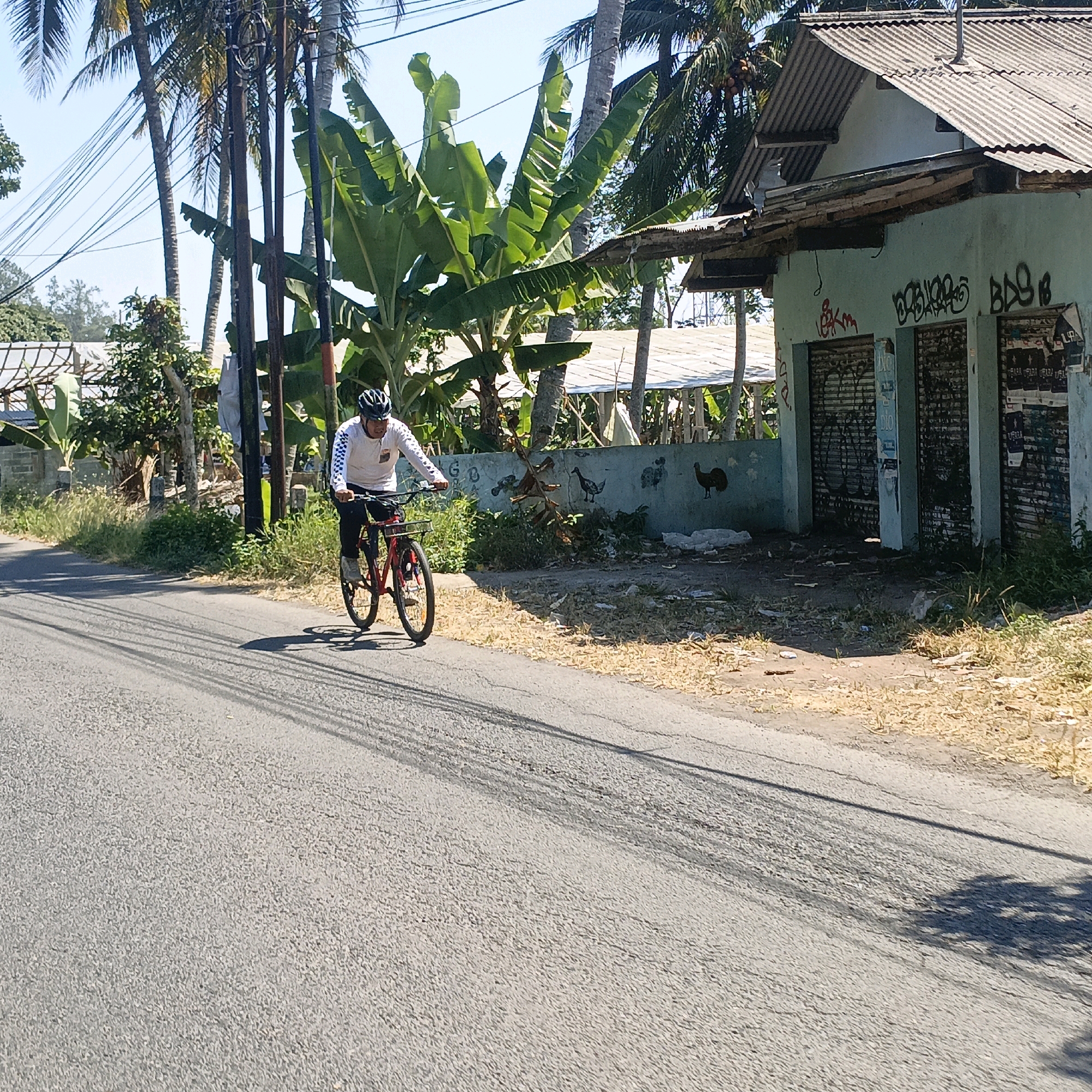 In Kebondowo, Indonesia, a man rides a red bicycle down a paved road under a clear sky. The man, wearing a white long-sleeved shirt with checkered sleeves, black pants, and a black helmet, is positioned in the left-center of the frame. He is actively pedaling and appears to be looking ahead. The bicycle has a basket attached to the handlebars. The road shows tire marks and is lined with dry grass and vegetation on the right side. Behind the vegetation, a light blue building with a corrugated metal roof stands. The building has graffiti on its walls and covered windows. In the background, there are several palm trees, banana trees, and utility poles with numerous wires. The scene is illuminated by sunlight, casting shadows across the road.