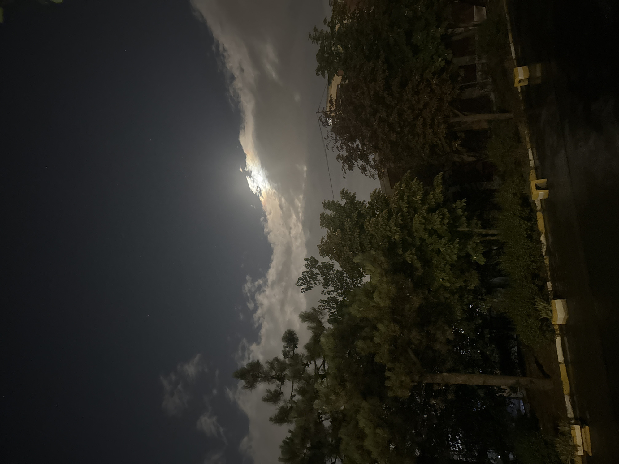 The image captures a nighttime scene in Gebze, Turkey, with a moon partially obscured by clouds. In the foreground, a wet asphalt road is visible, lined with yellow and white painted concrete barriers and planters containing green vegetation. Behind the barriers, a row of trees with dark green and some reddish-brown foliage stands. To the left, a large pine tree with visible cones is prominent, and further back, dense bushes and more trees form a dark background. The sky above is dark blue with scattered clouds, through which the bright moon casts light, creating a subtle halo effect. A few distant stars are also visible in the sky. The overall impression is of a quiet, slightly damp urban evening.