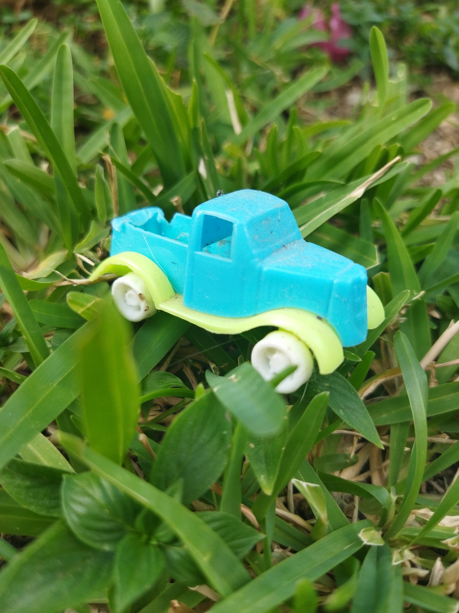 The image depicts a small, blue plastic toy truck with light green fenders and white wheels resting amongst green grass. The truck is positioned centrally in the frame, partially obscured by the surrounding foliage. The scene is outdoors, bathed in natural light. A tiny insect is seen atop the truck.